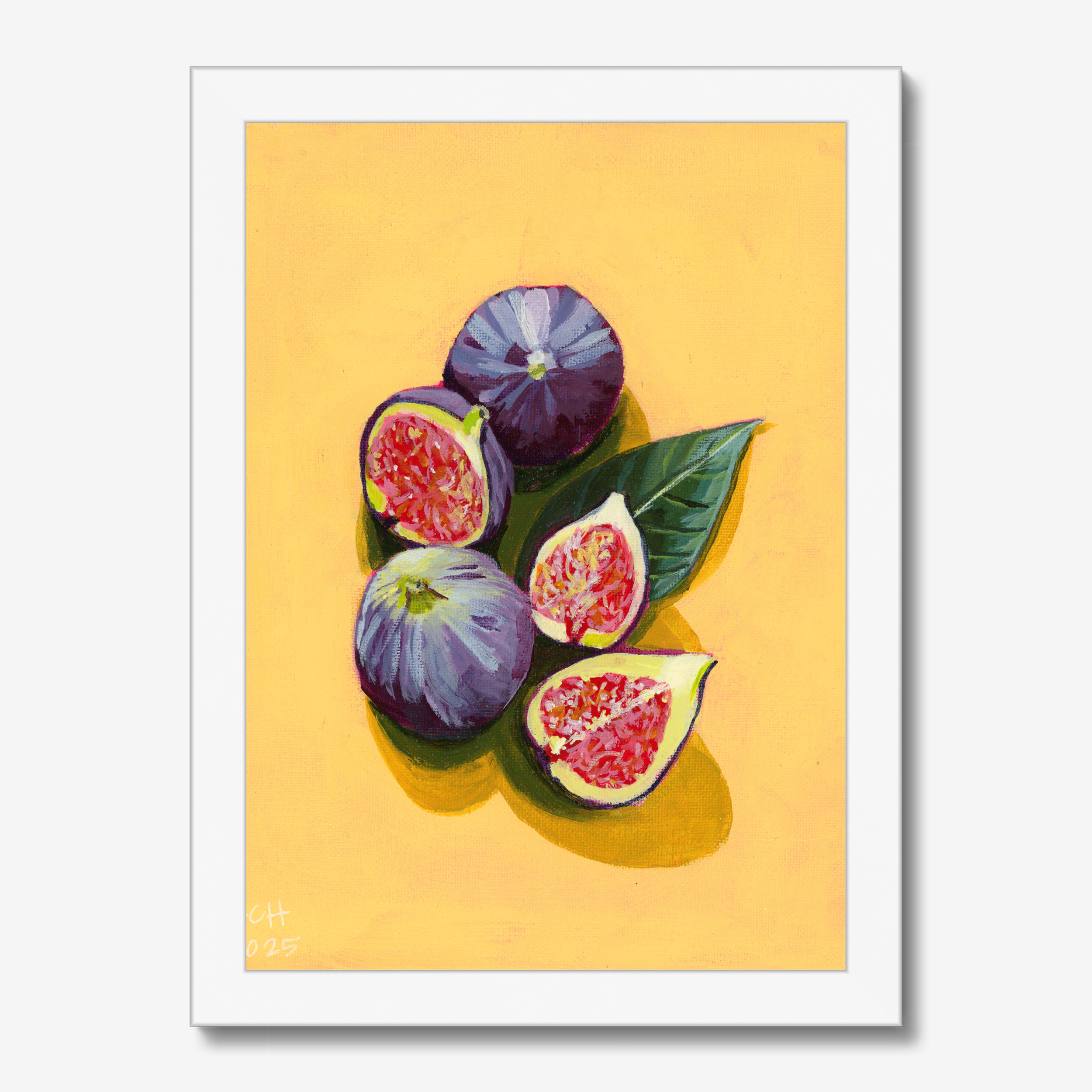 FIGS-prodigi-global-cfp-a4-portrait-white-frame (8).png