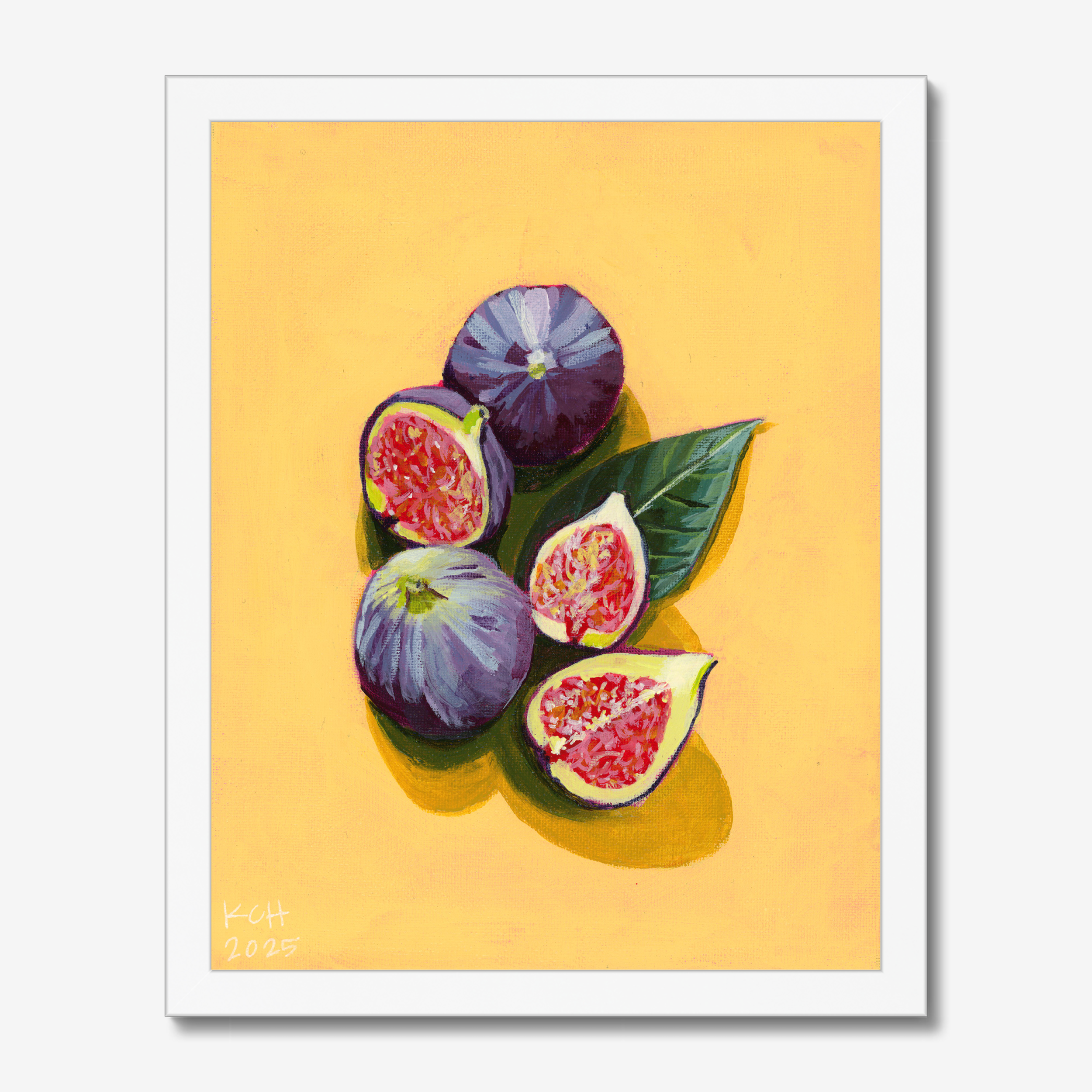 FIGS-prodigi-global-cfp-11x14-white-frame (9).png