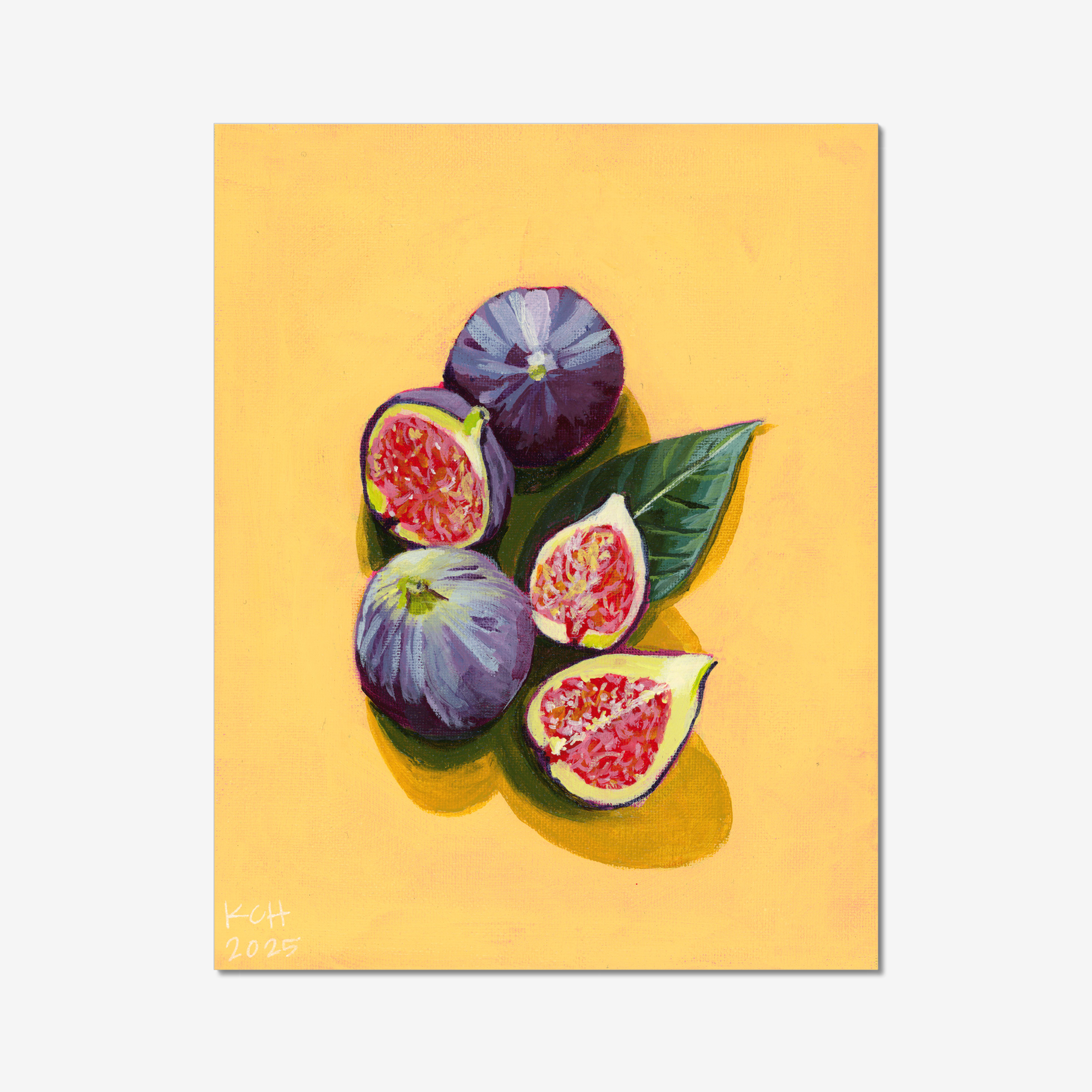 FIGS-prodigi-global-hge-11x14.png