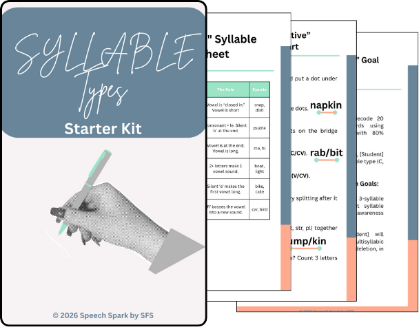 Syllable Types Starter Kit