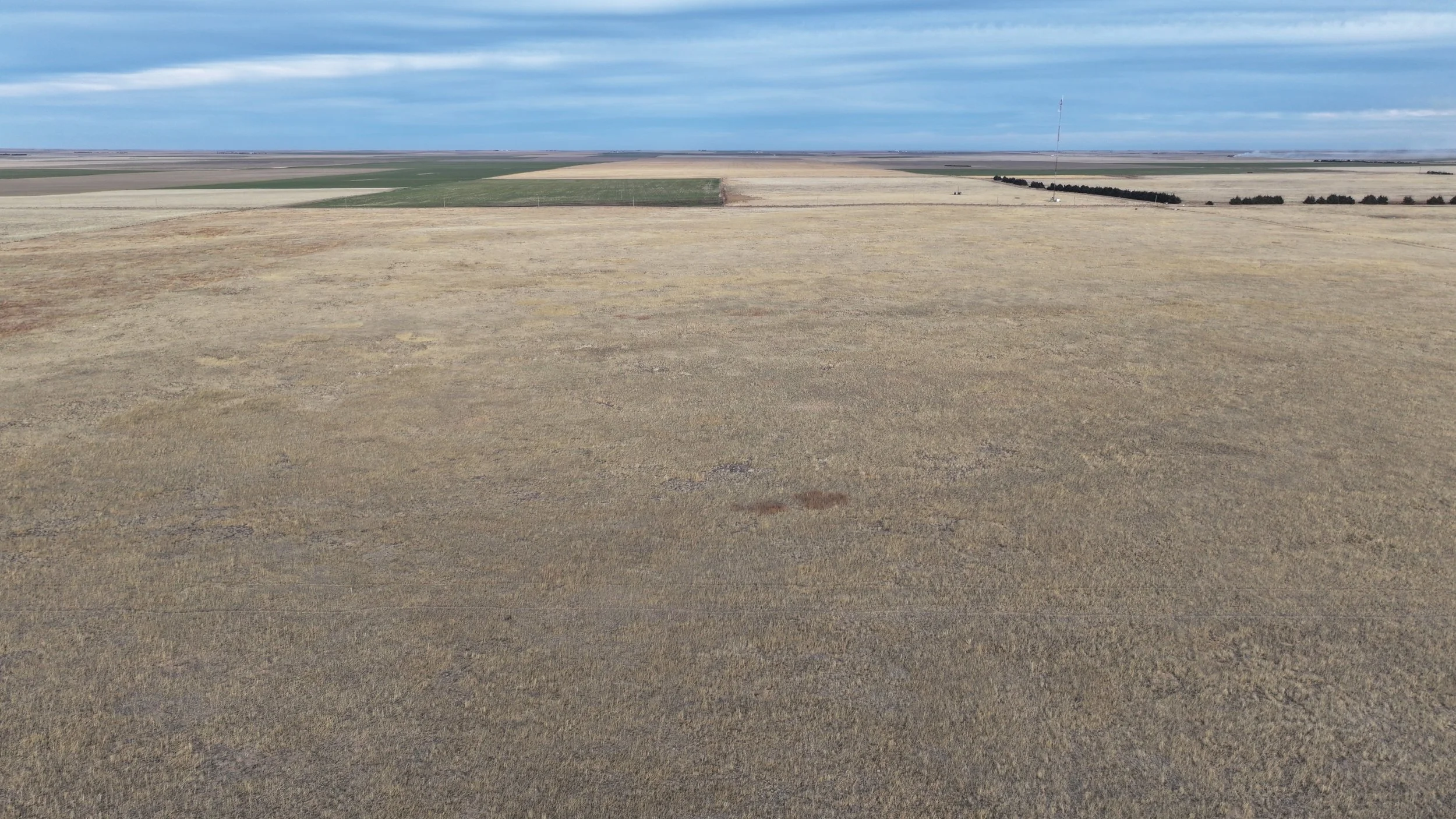 DJI_20260305165134_0026_D.JPG