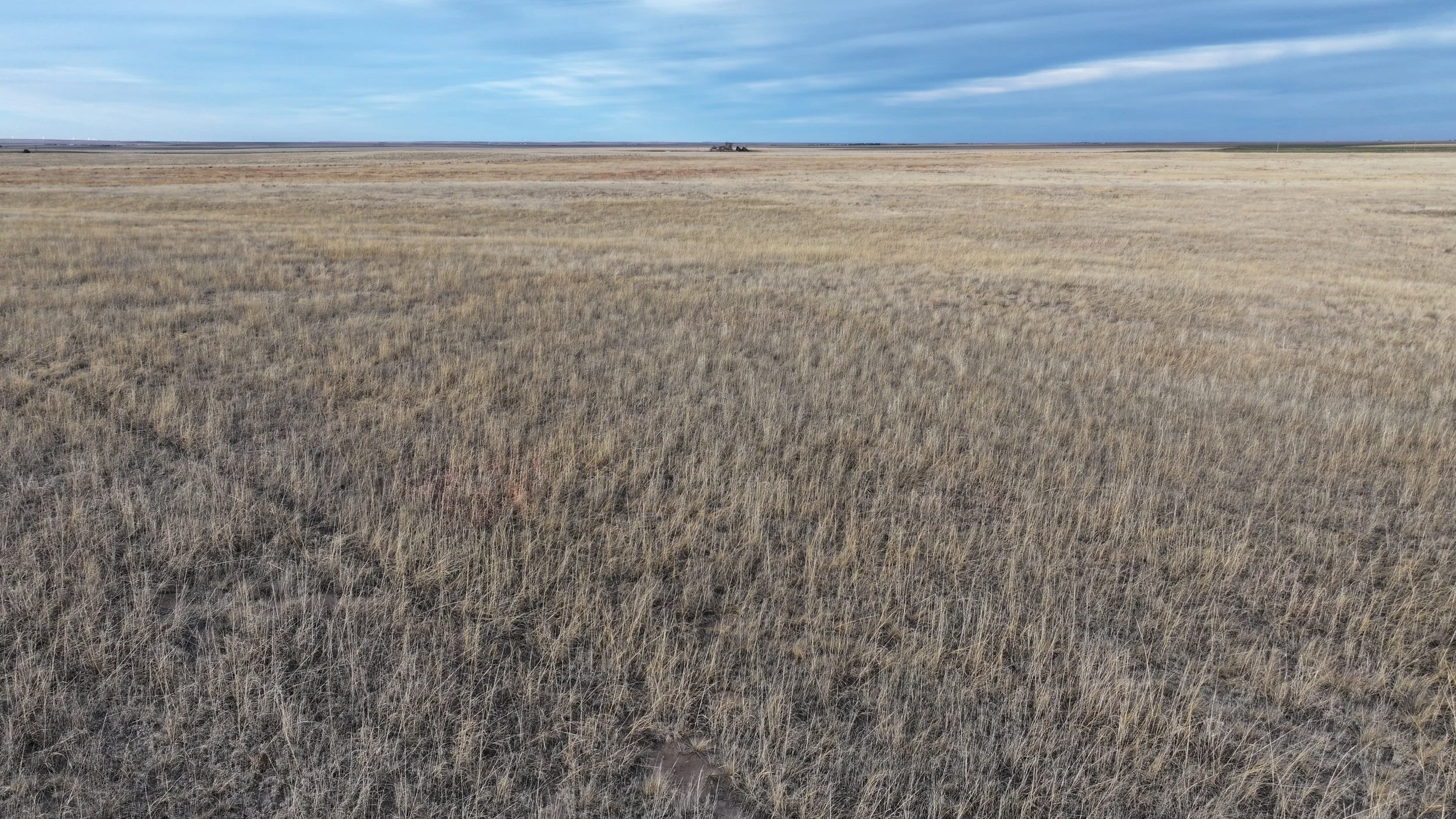 DJI_20260305165059_0024_D.JPG