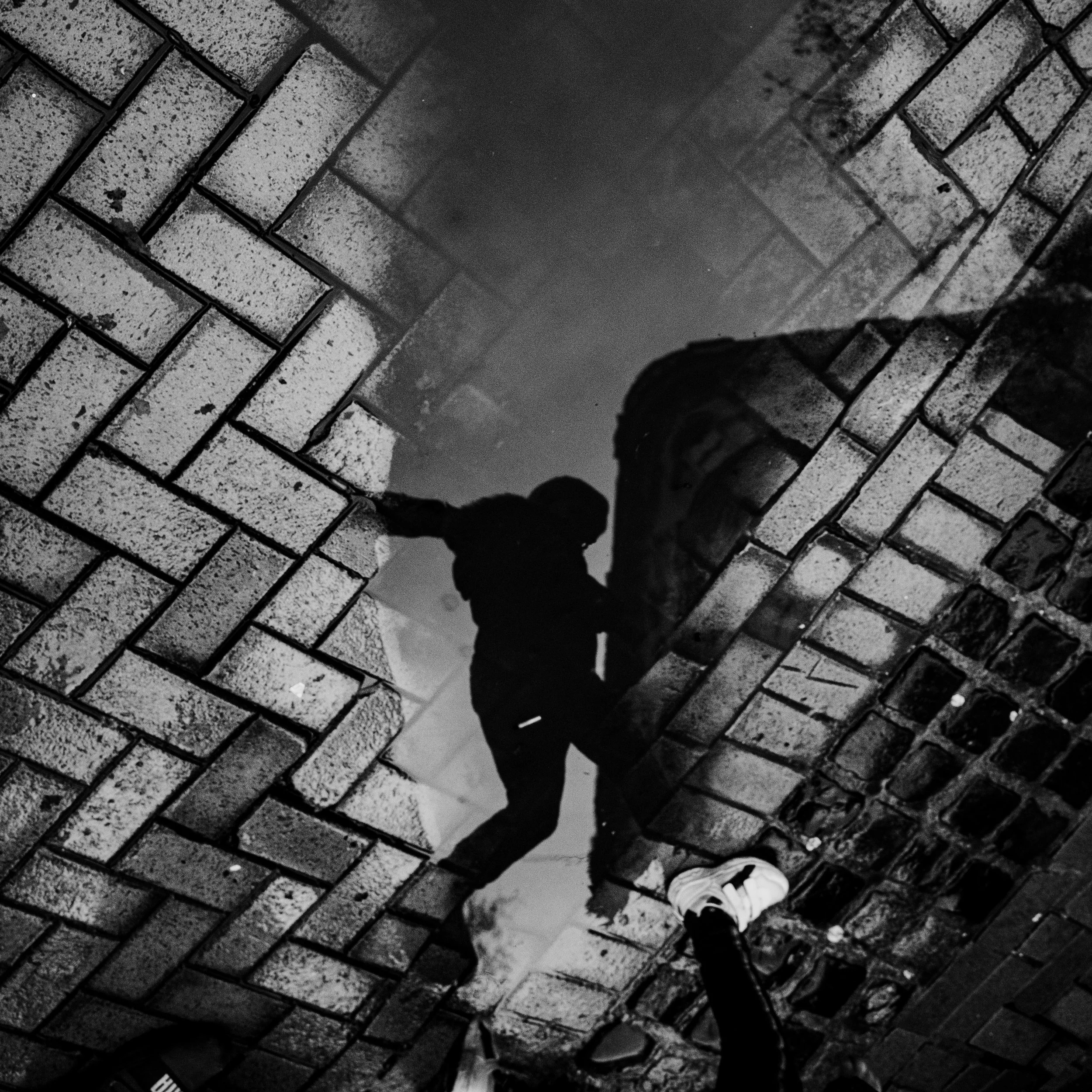 Reflection of a person in a puddle, surrounded by brick pavement and a drain, captured in black and white.