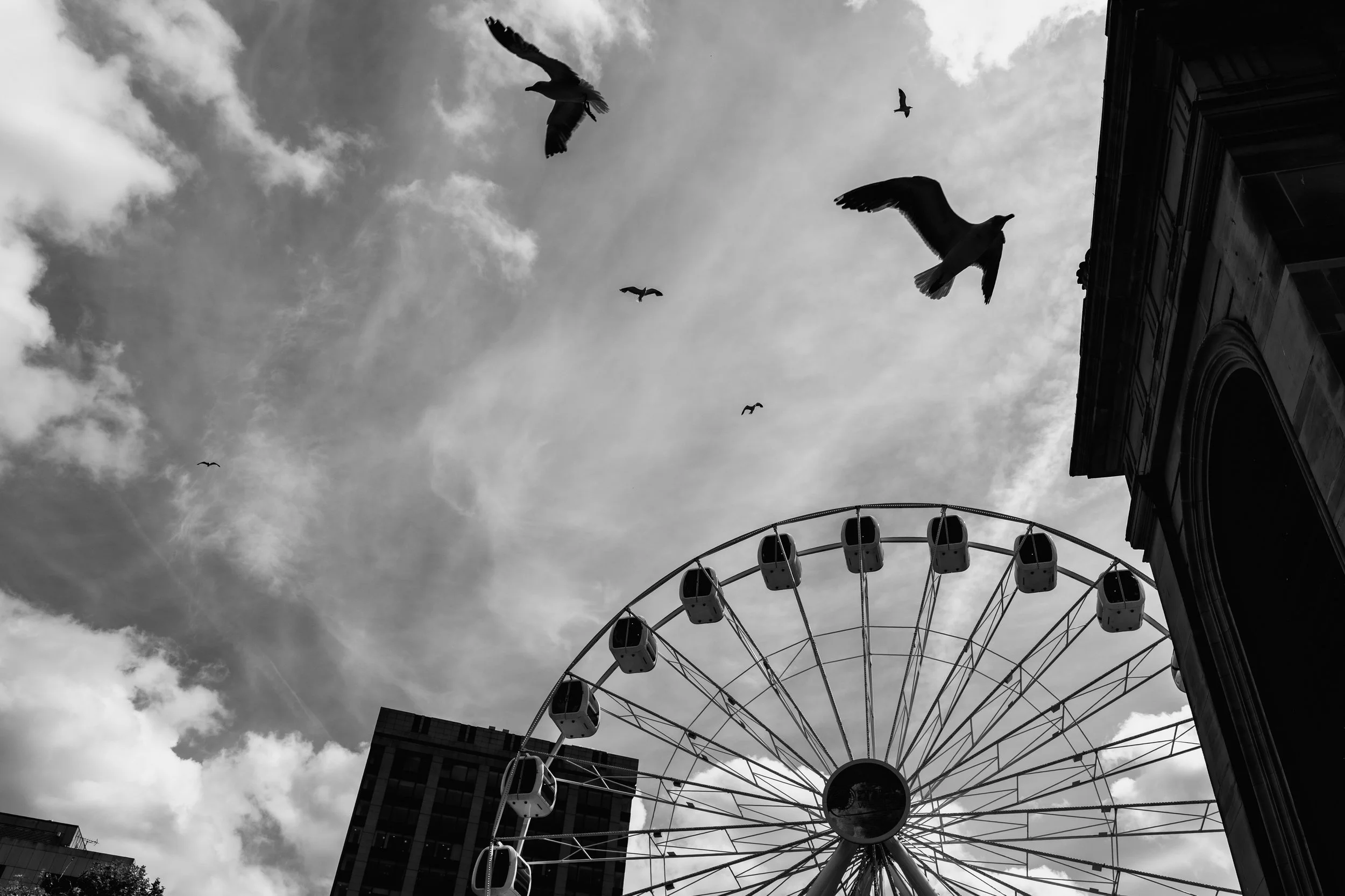 Black and white photo of a ferris wheel, pigeons flying in the sky, and part of a building with architectural details.
