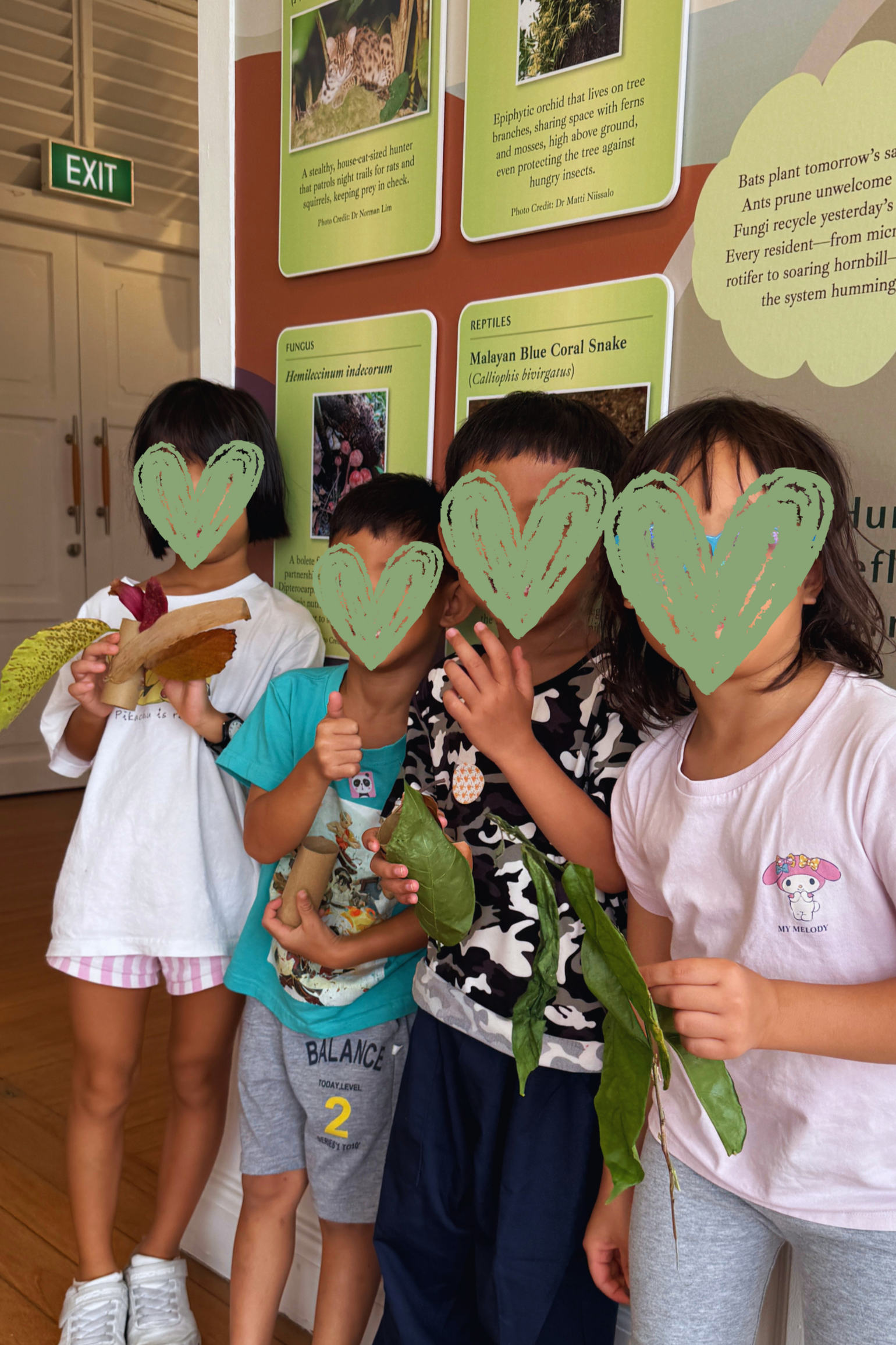 Four children in casual clothes holding leaves and a mushroom, standing in front of an informational display about forest and reptile species.