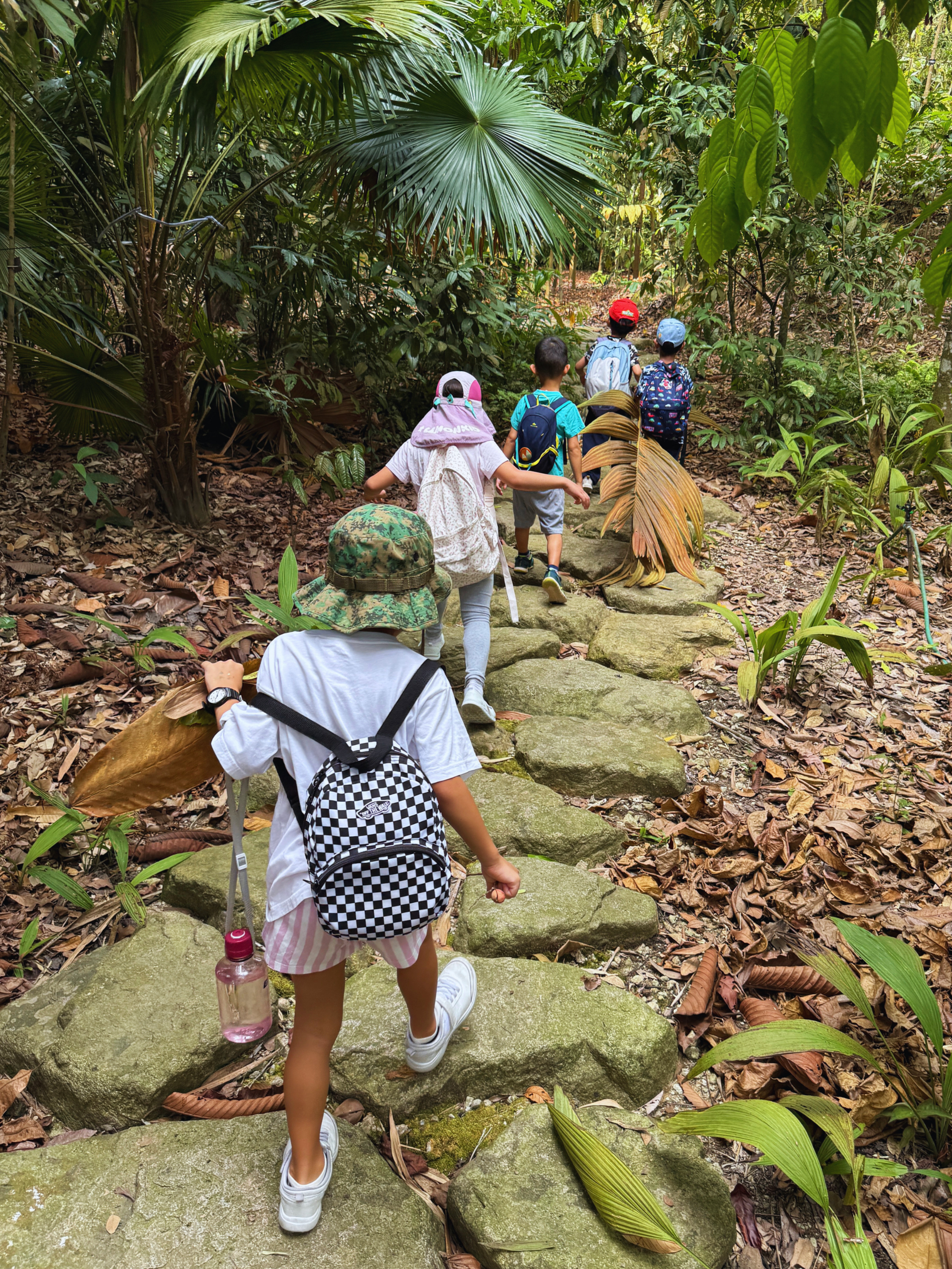 Children walking on a stone path through a dense jungle or forest, carrying backpacks and water bottles, surrounded by green foliage and trees.