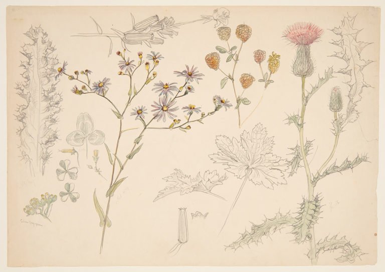 Genealogy Spring Cleaning