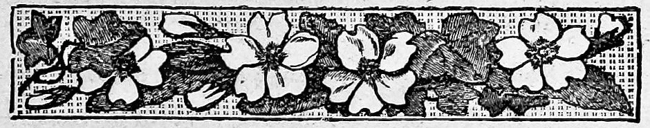 Tips for purchasing history books.