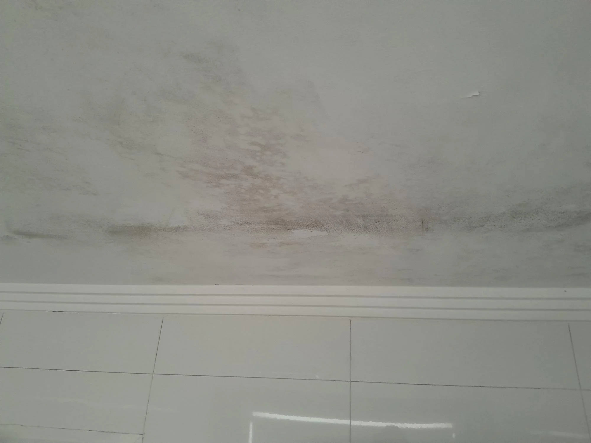 Ceiling before deep cleaning by Kat Clean Sydney, NSW