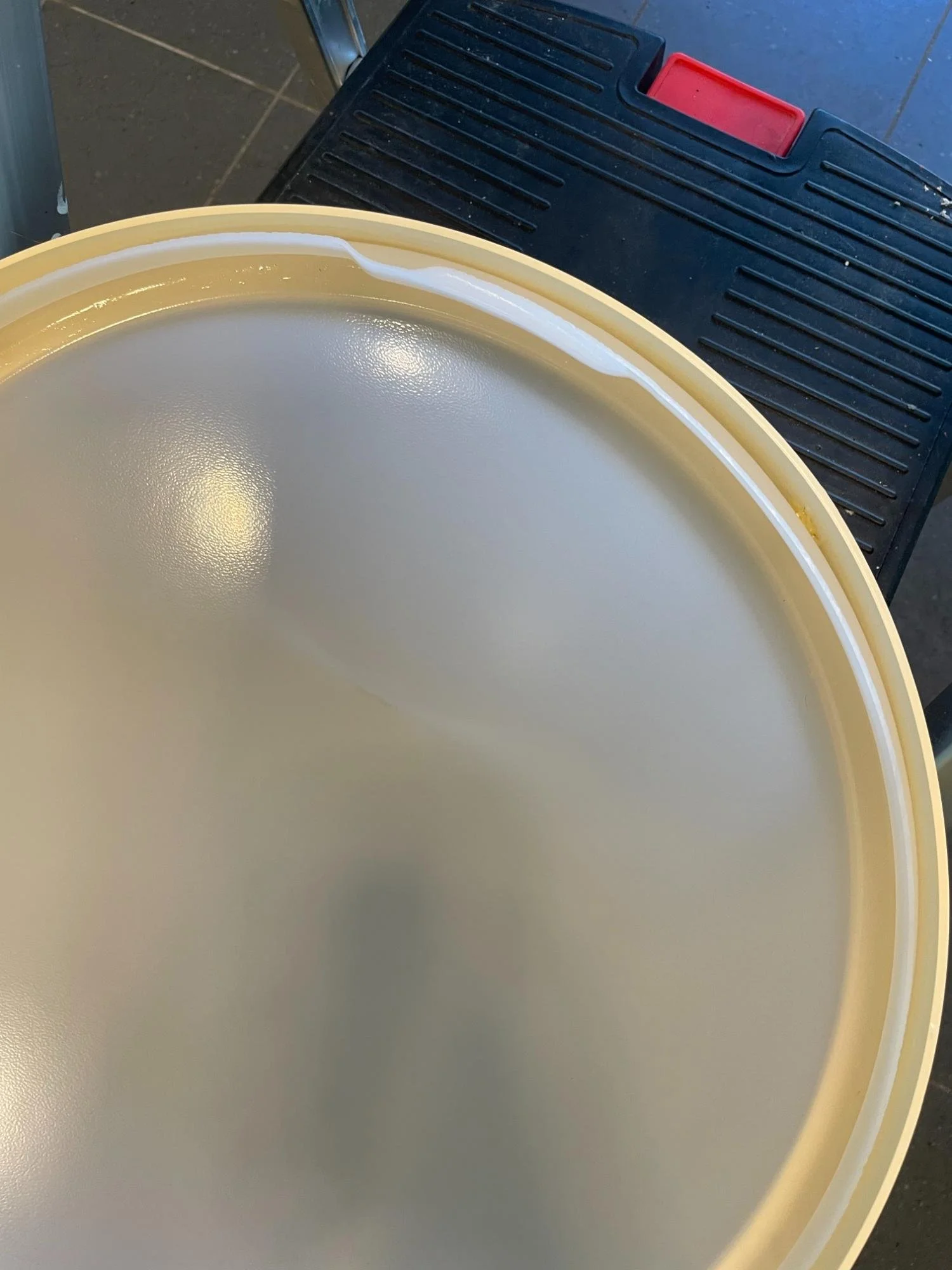 Ceiling light cover after deep cleaning by Kat Clean Sydney, NSW