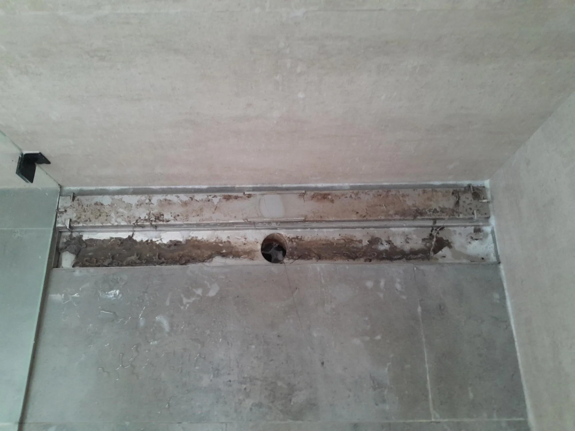 Shower drain before deep cleaning by Kat Clean Sydney, NSW