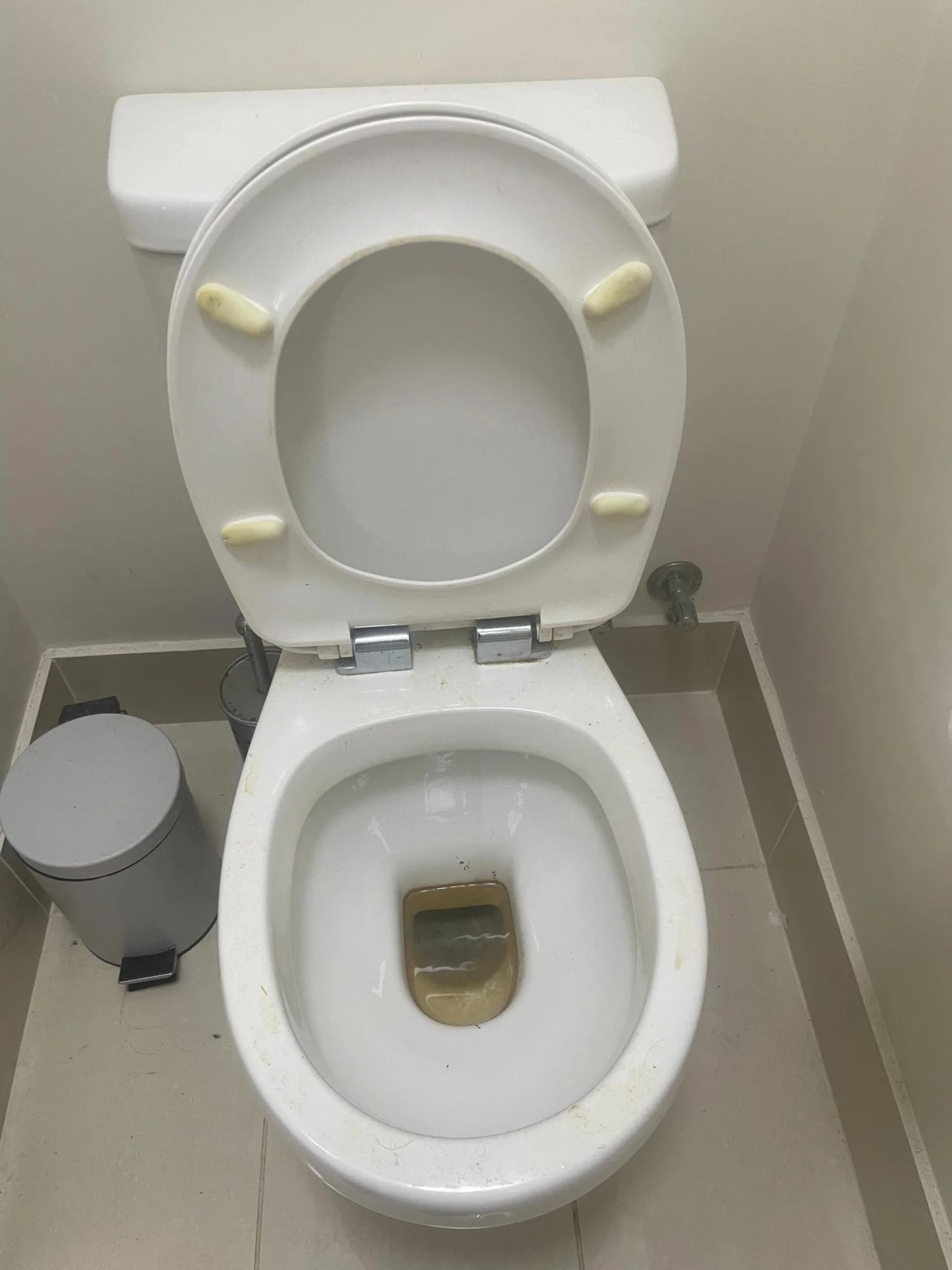 Toilet before deep cleaning by Kat Clean Sydney, NSW