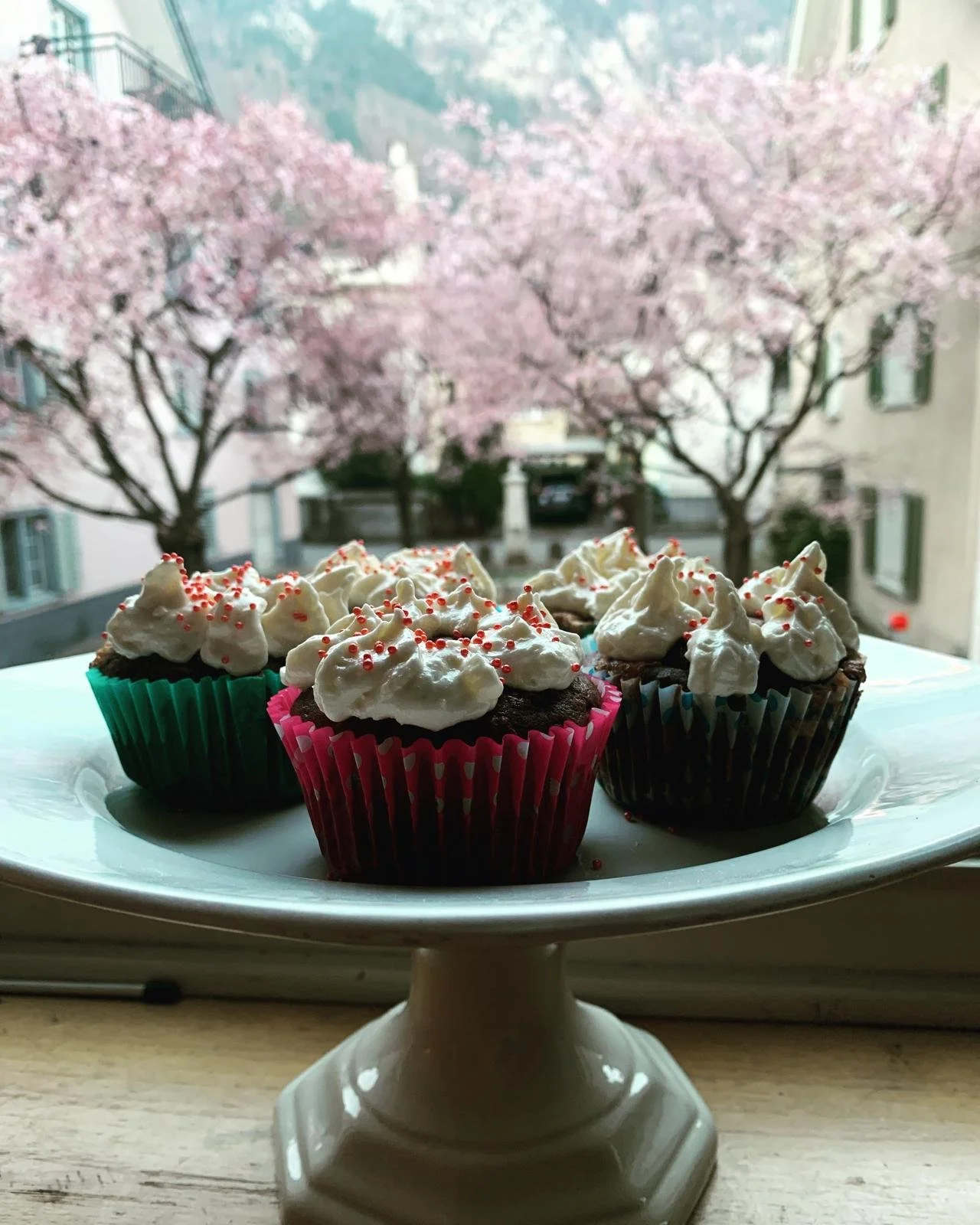 WhatsApp Image 2026-03-08 at 19.47.02.jpeg