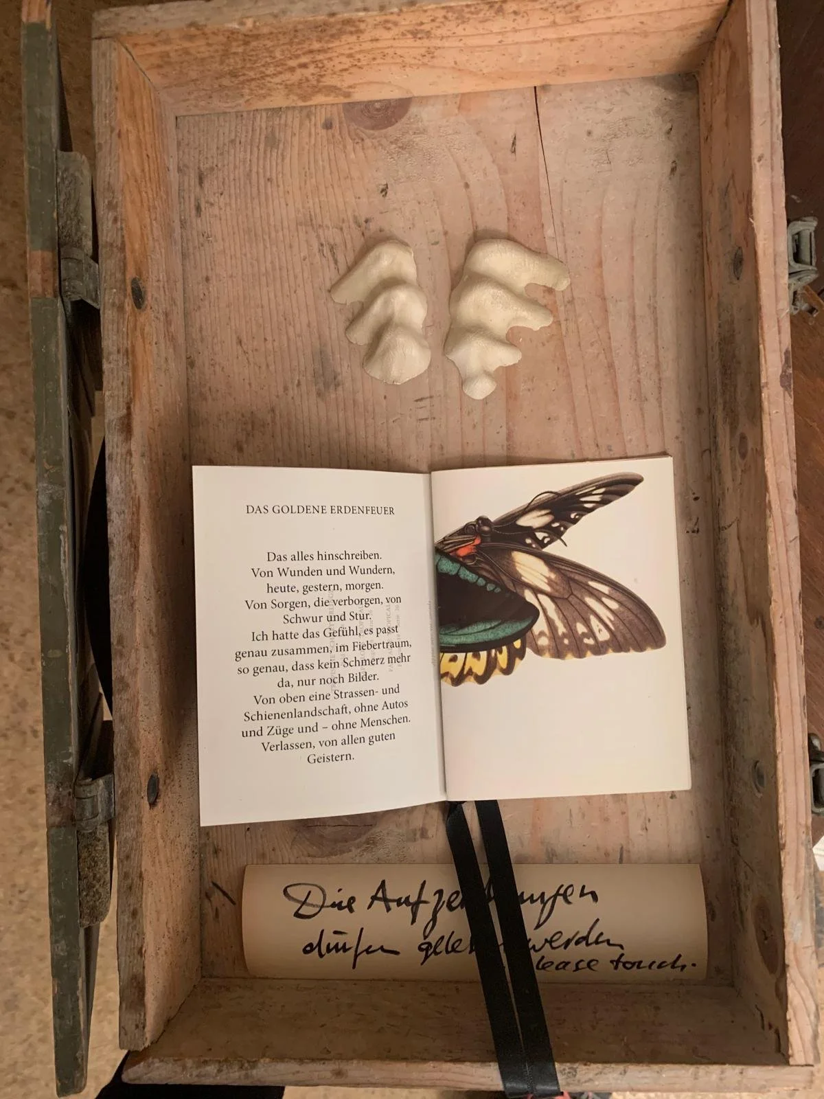 WhatsApp Image 2026-03-08 at 19.41.25.jpeg