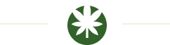 Illustration of hemp leaf