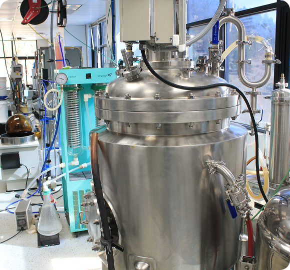 evg boiler