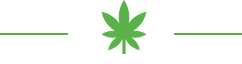 Illustration of hemp leaf