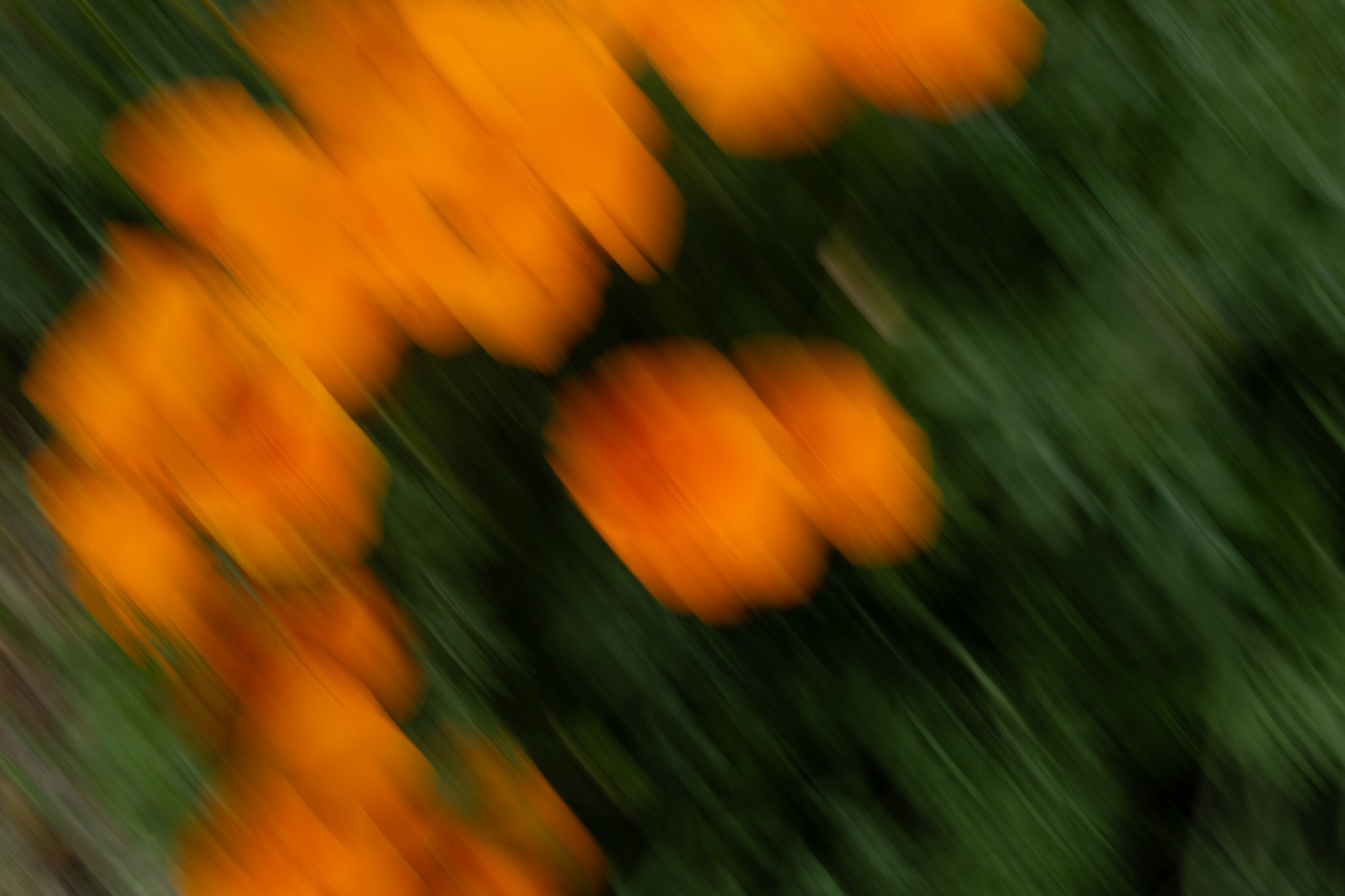 DSCF9227.jpg