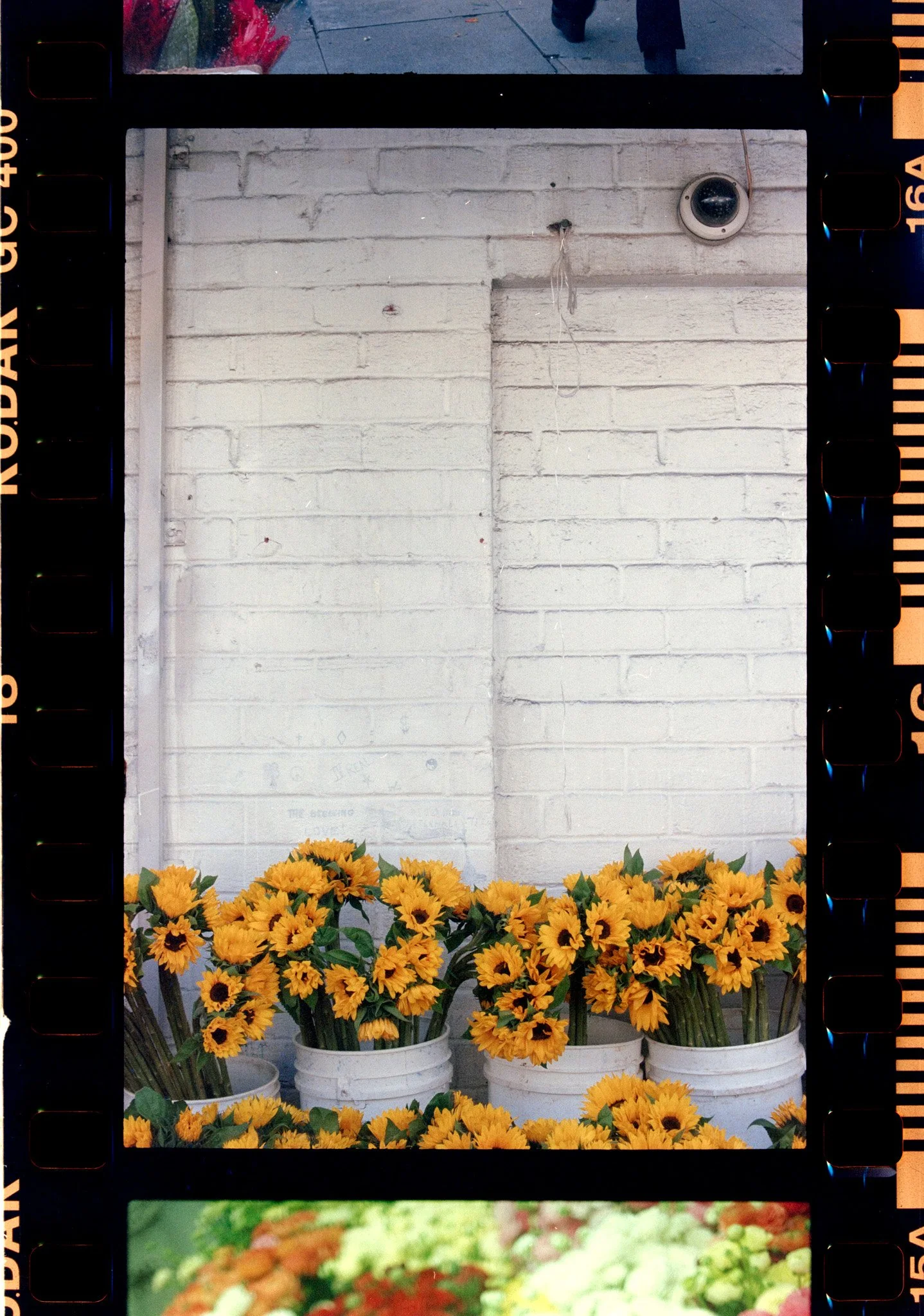 Blank Slate Film Portfolio-12.jpg