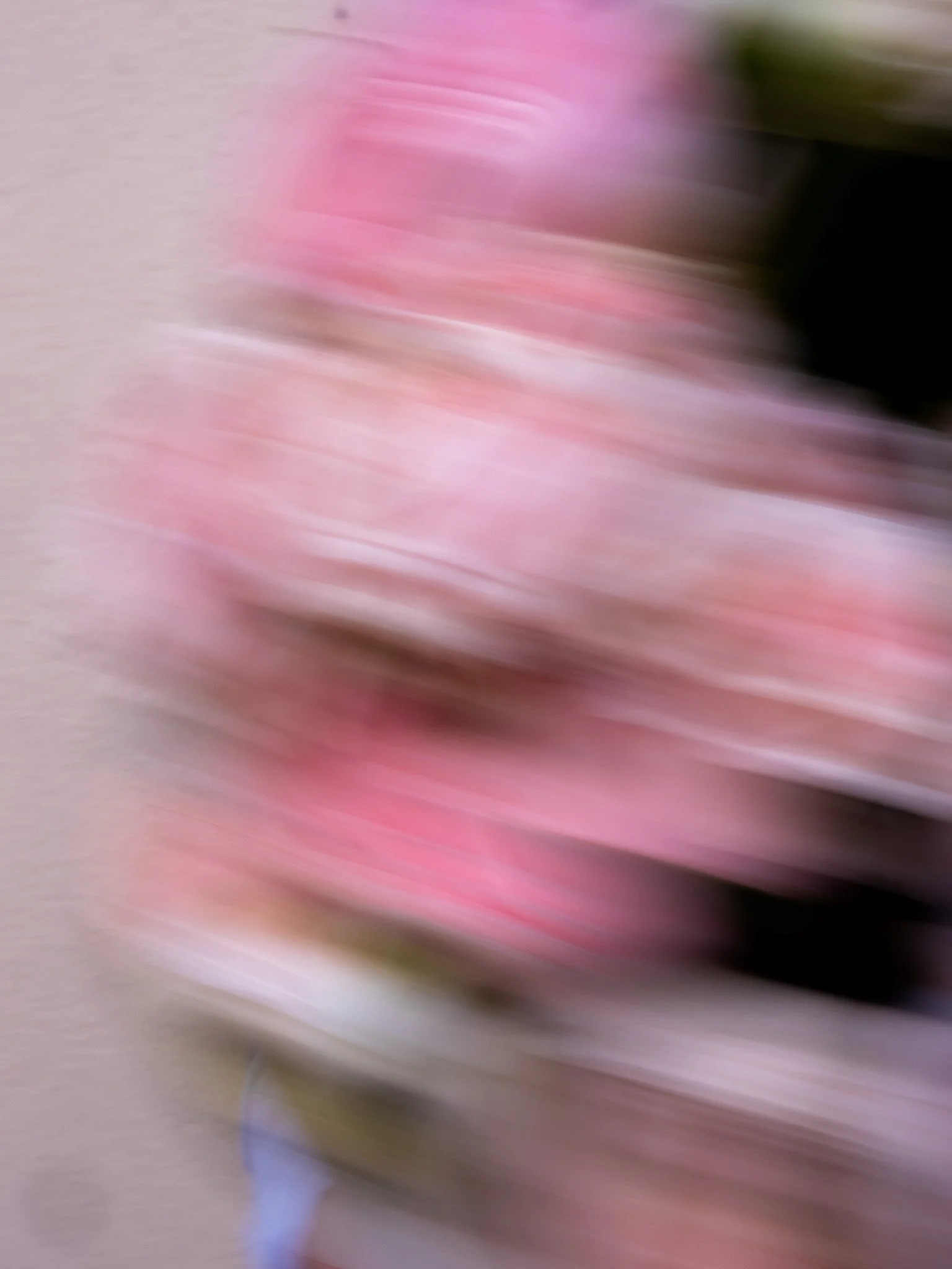 DSCF6025.jpg