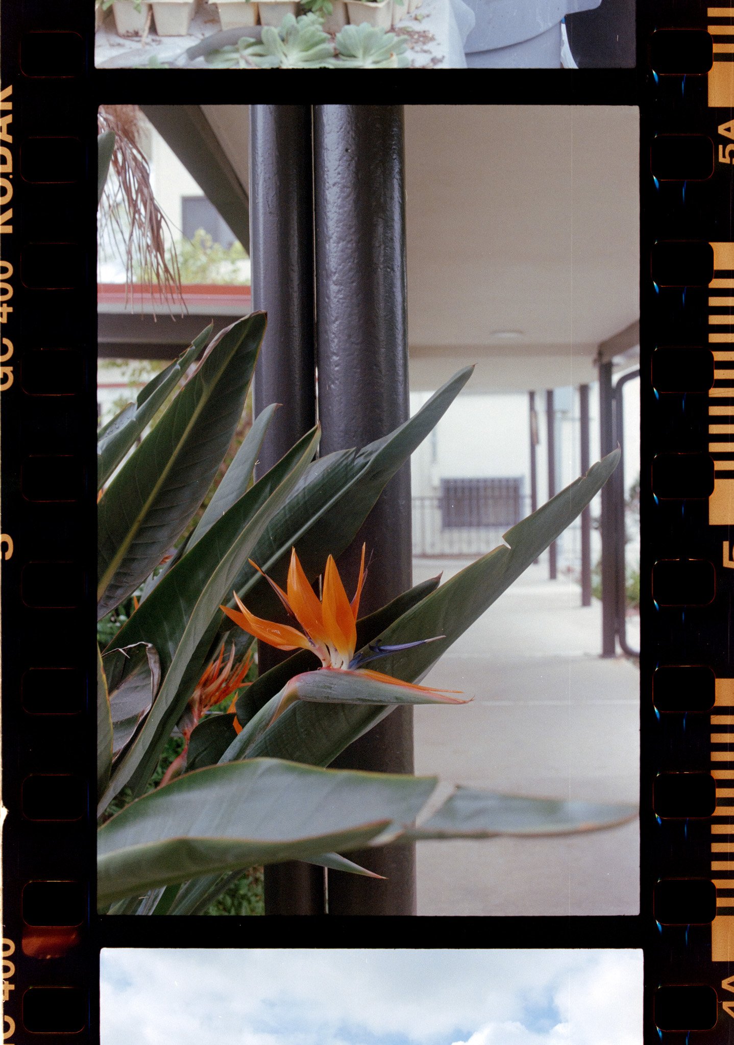 Blank Slate Film Portfolio-4.jpg