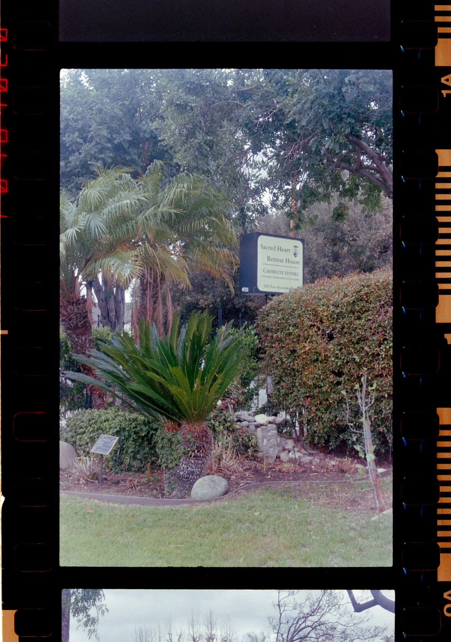 Blank Slate Film Portfolio-1.jpg