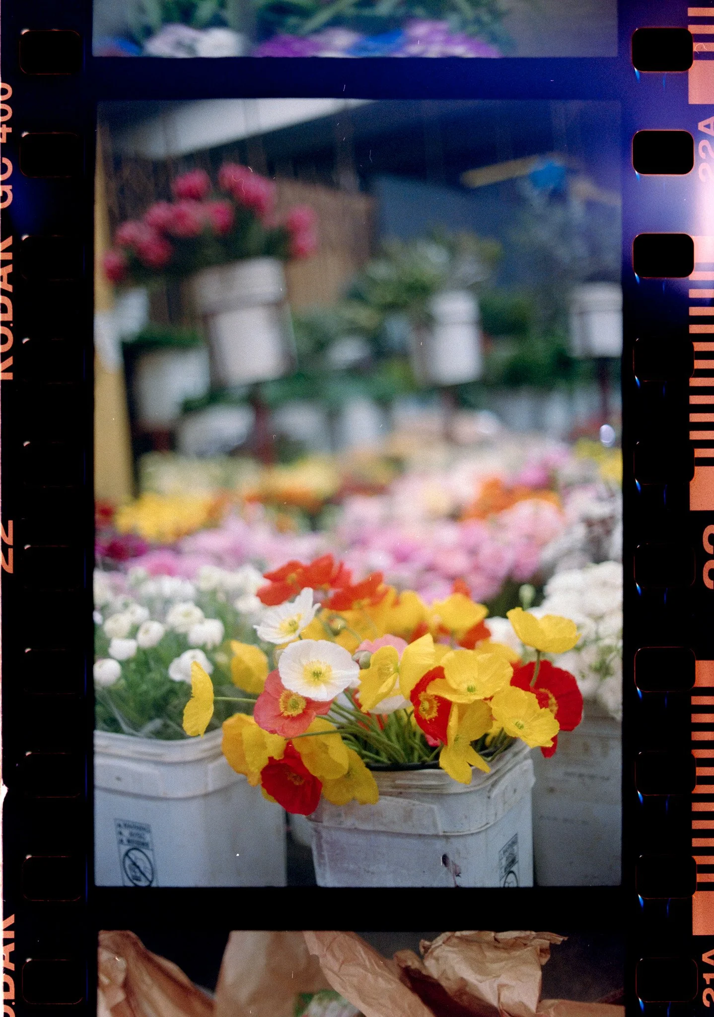 Blank Slate Film Portfolio-17.jpg
