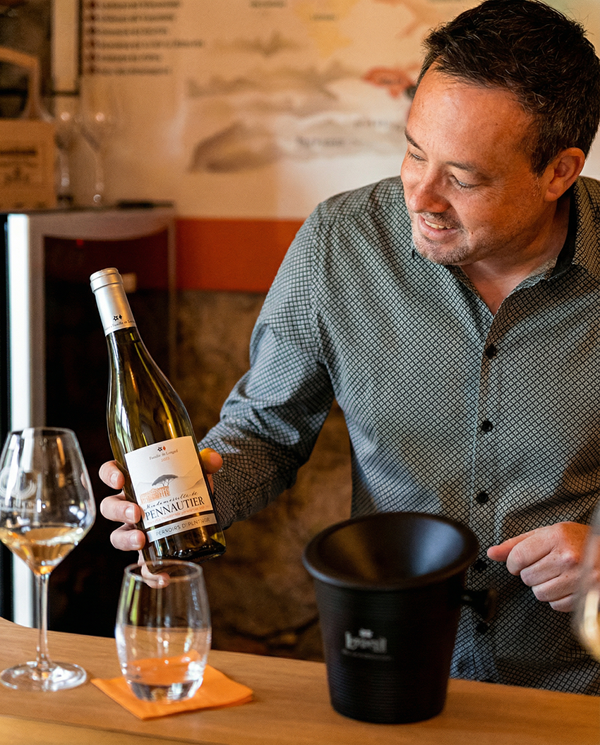 Dégustation vins Lorgeril