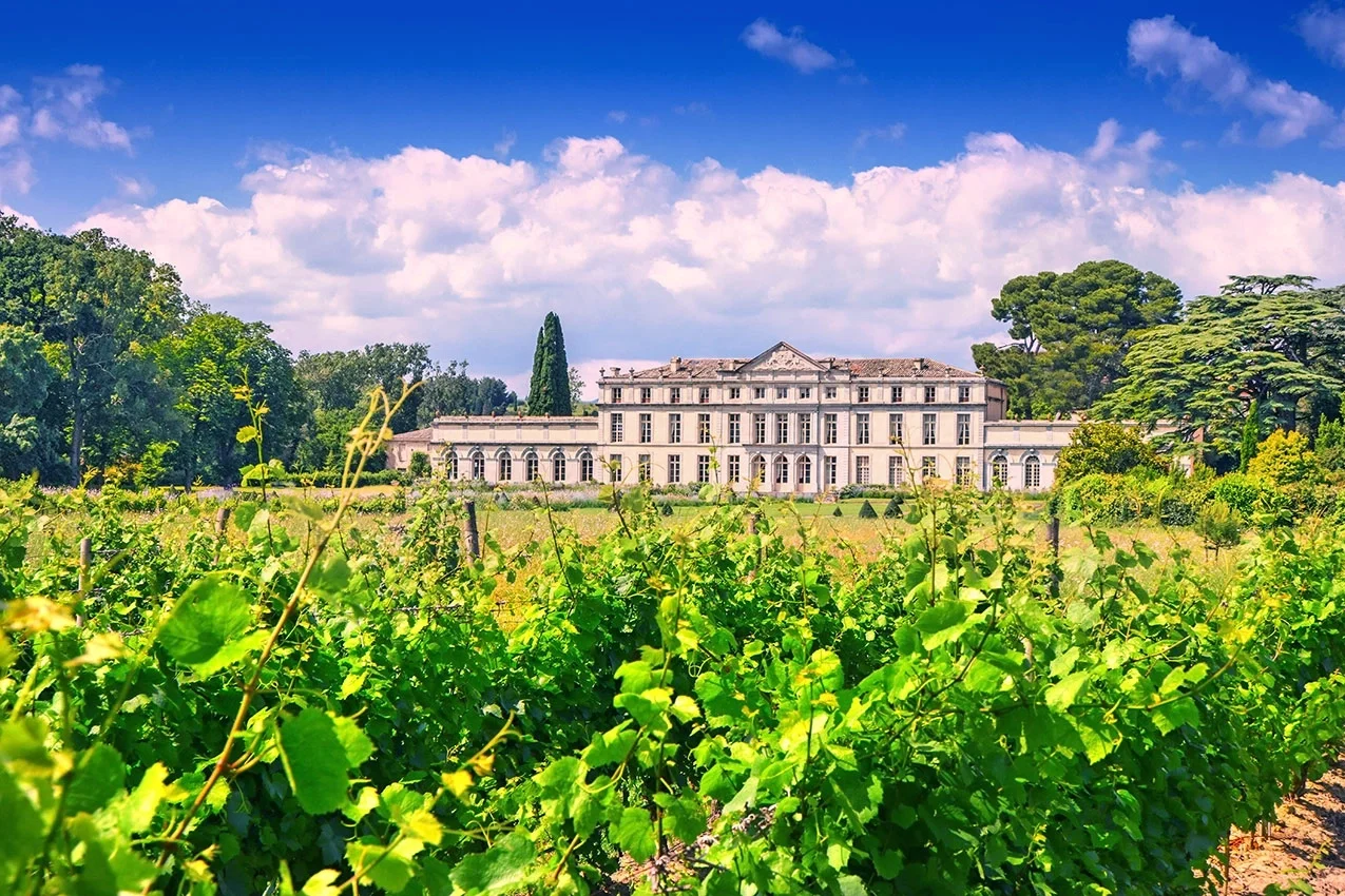 Vignes du Château de Pennautier