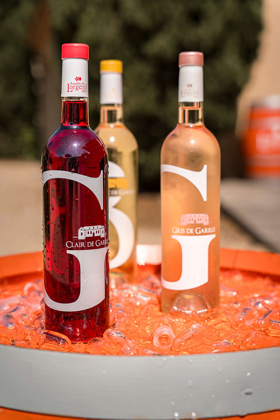 @vinspaysdocigp  @les_insenses