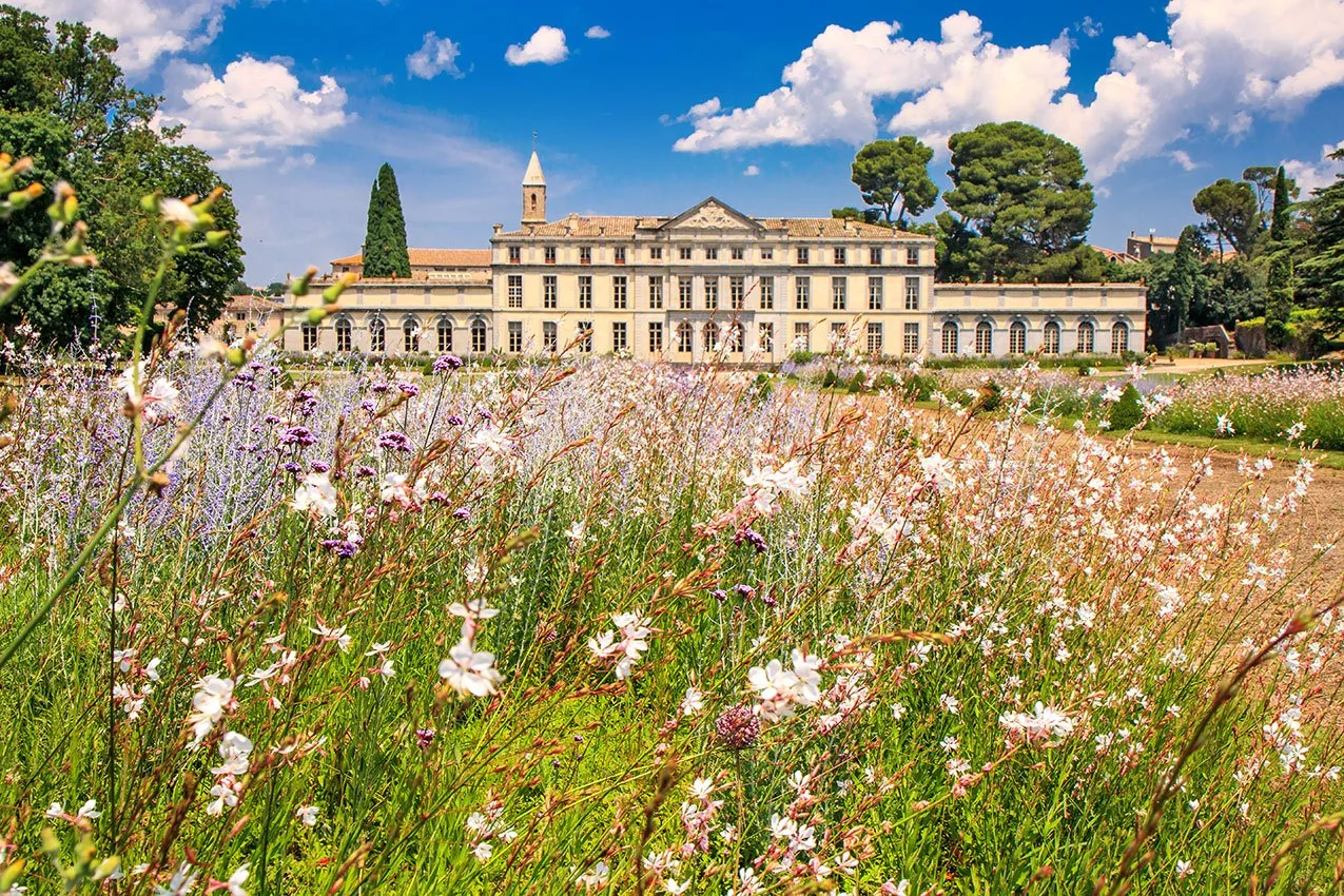 Château de Pennautier fleurs