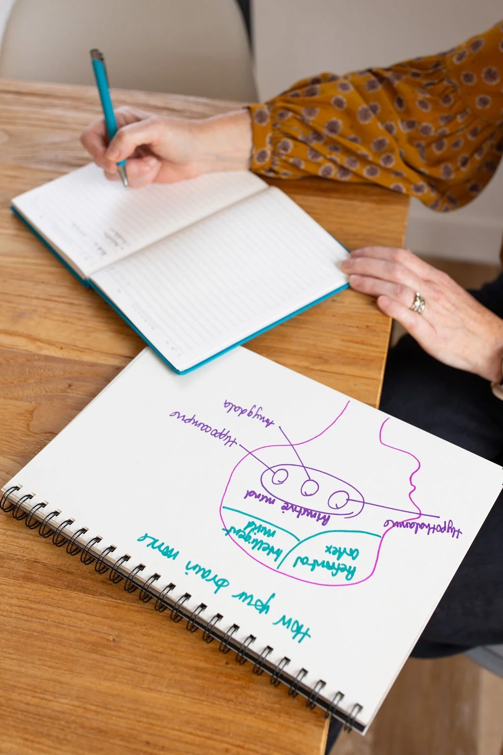 Jen Burt Solution Focused Therapist working with a colourful diagram explaining how your brain works.