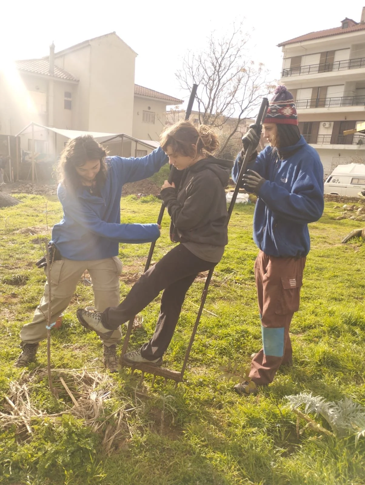 working on the land, permaculture design