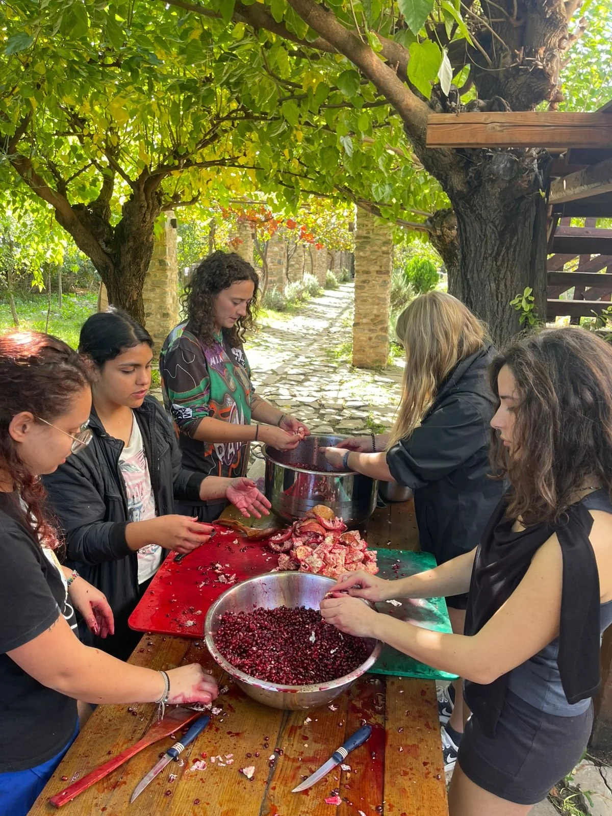 Harvesting and preserving fruits from our own garden, on our way to self sustainability