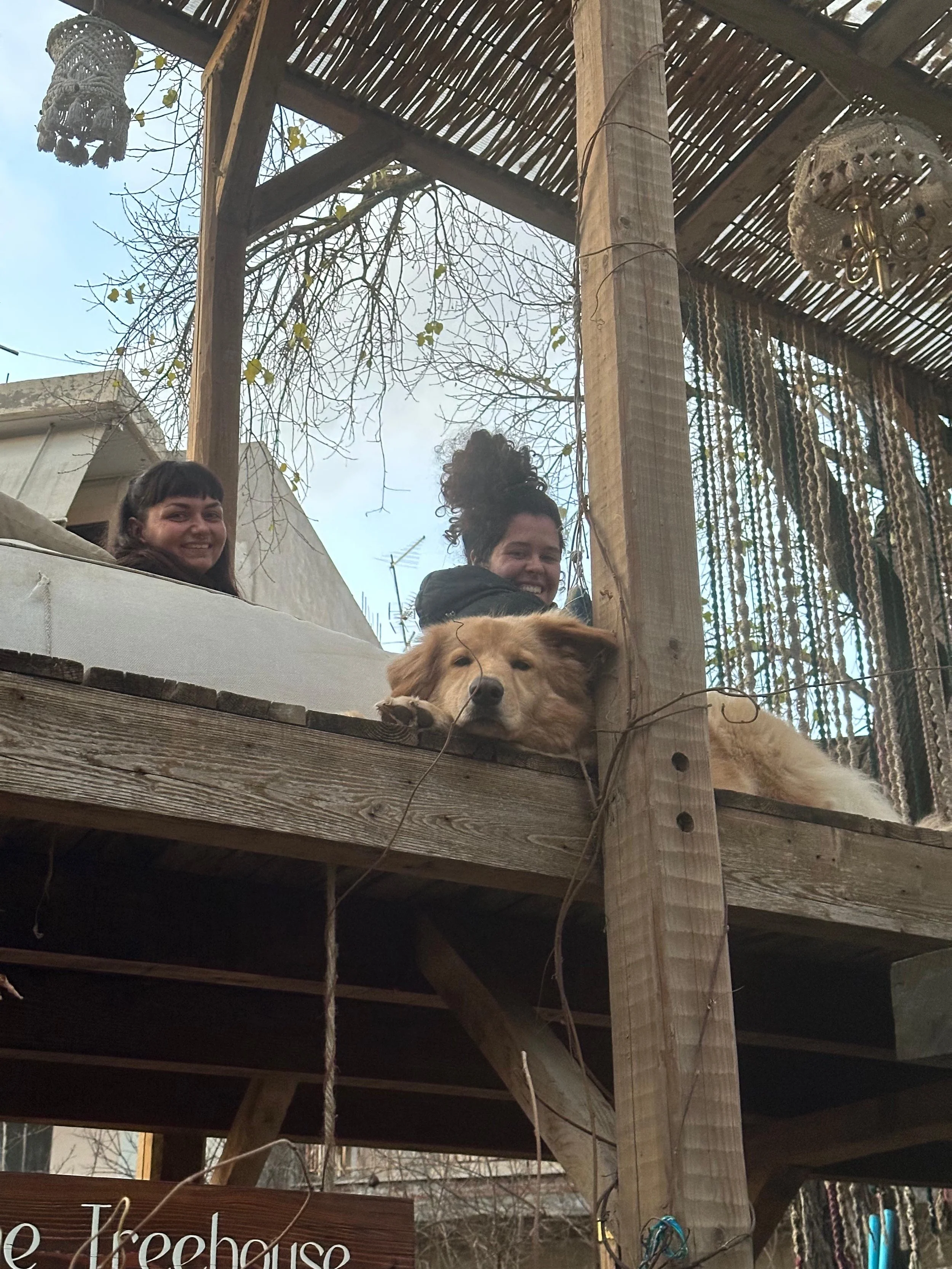 volunteers resting with dog