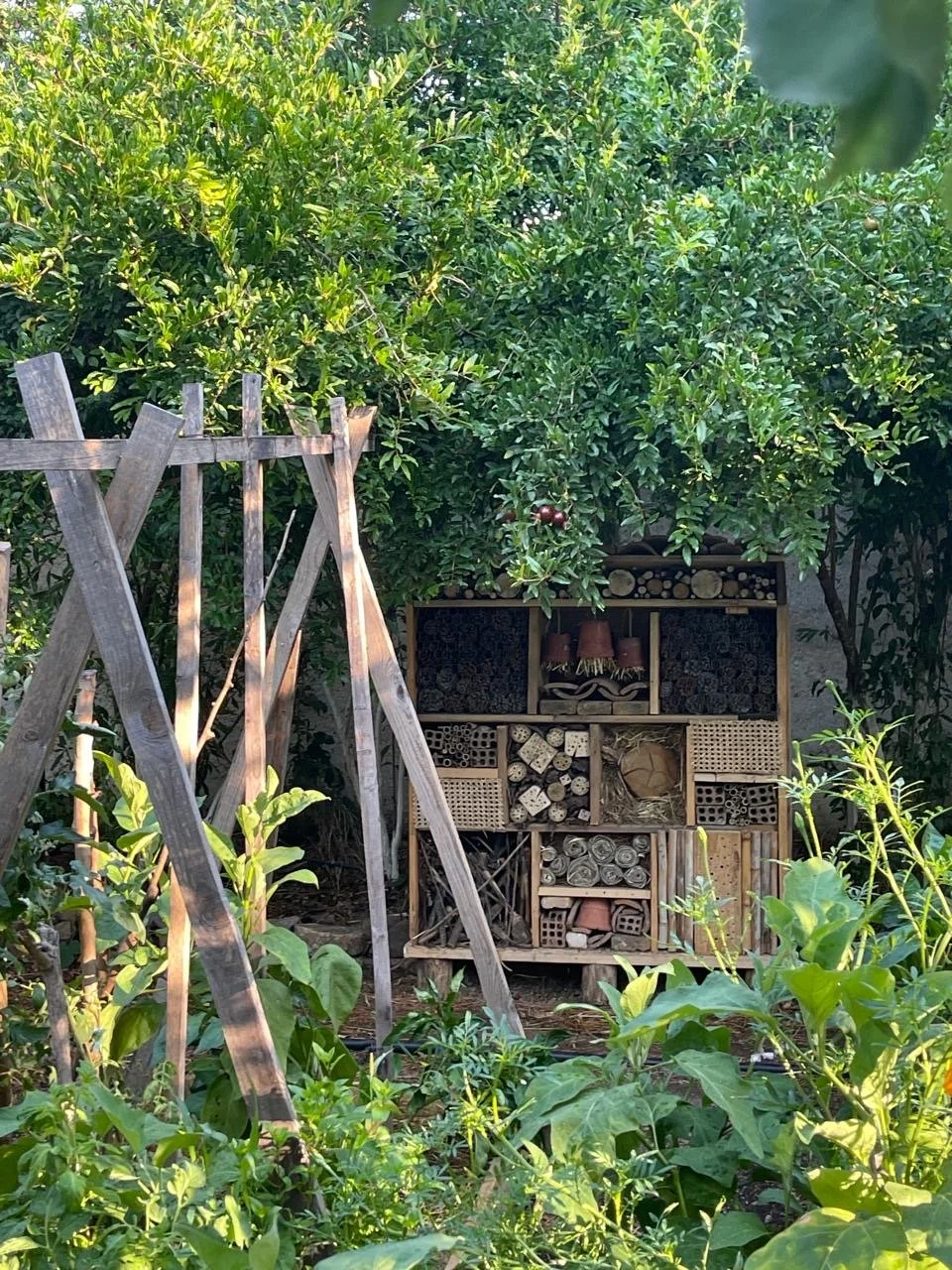 insect hotel
