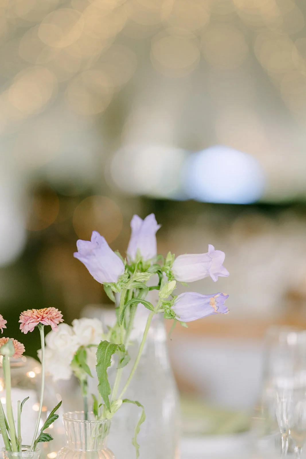 KatMikeWedding_ReceptionDetails_0537.jpg