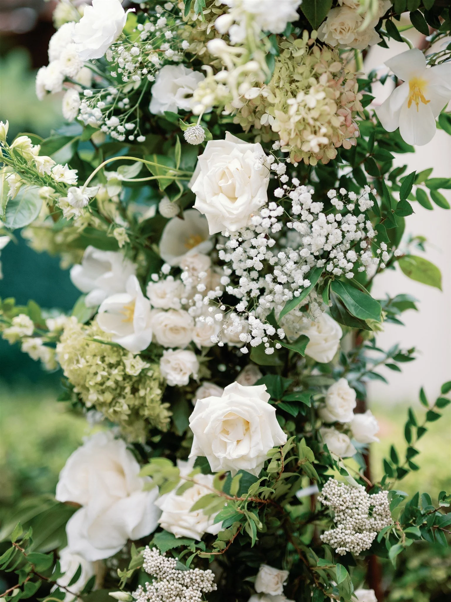 jarrodjphoto-543.jpg