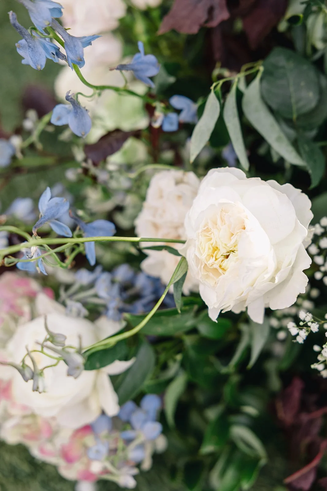 Addison_Jacob_Wedding-372.jpg
