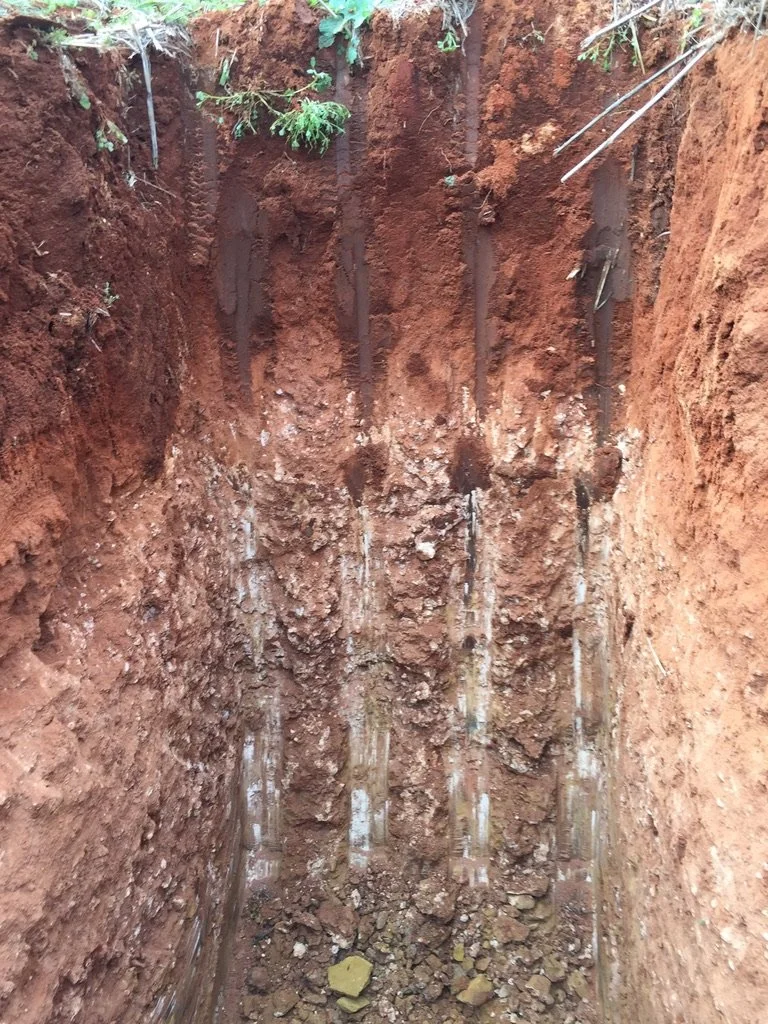 Vertical soil profile with visible roots and clay layers, showing different soil horizons in a small excavation site.