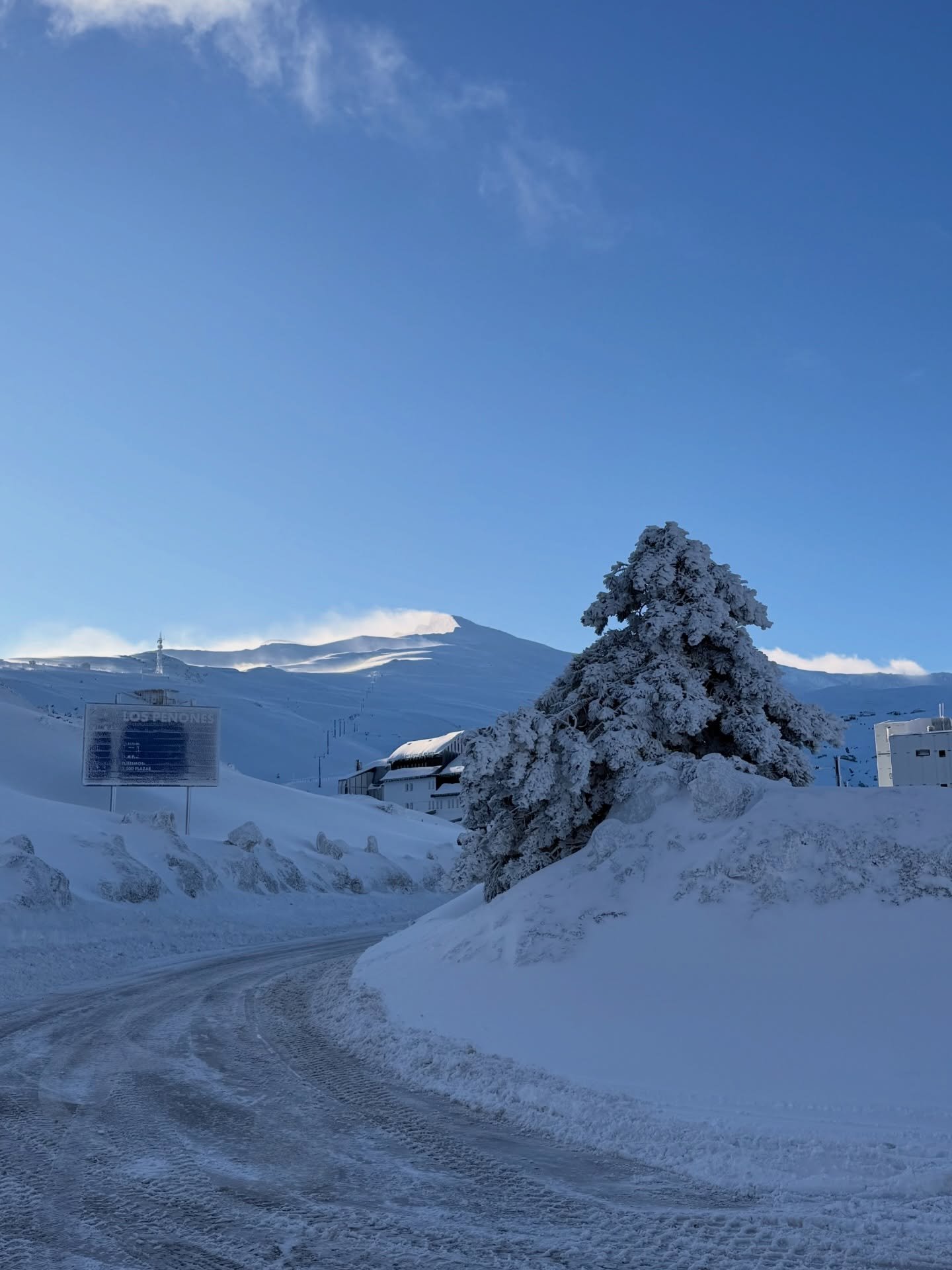 Sierra Nevada in the Morning >>