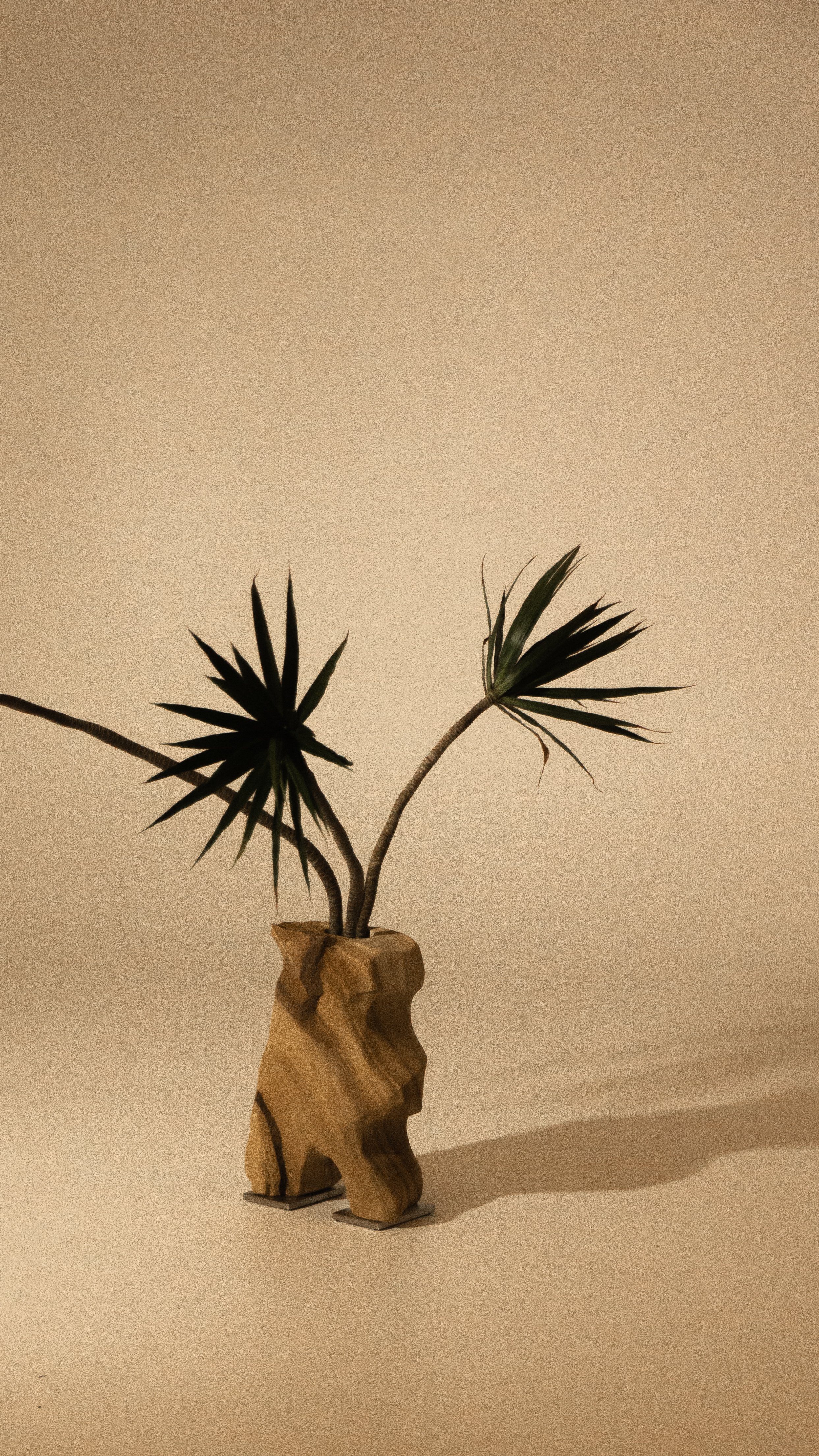 A potted plant with long, spiky green leaves in a wooden vase.