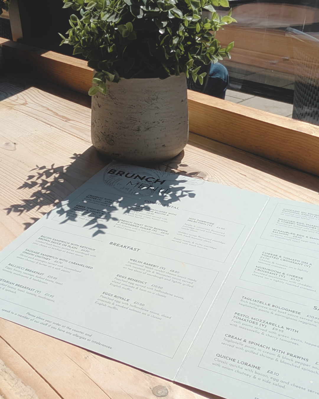 A potted green plant on a wooden table with a brunch menu beneath it, sunlight casting shadows of the plant's leaves on the menu.