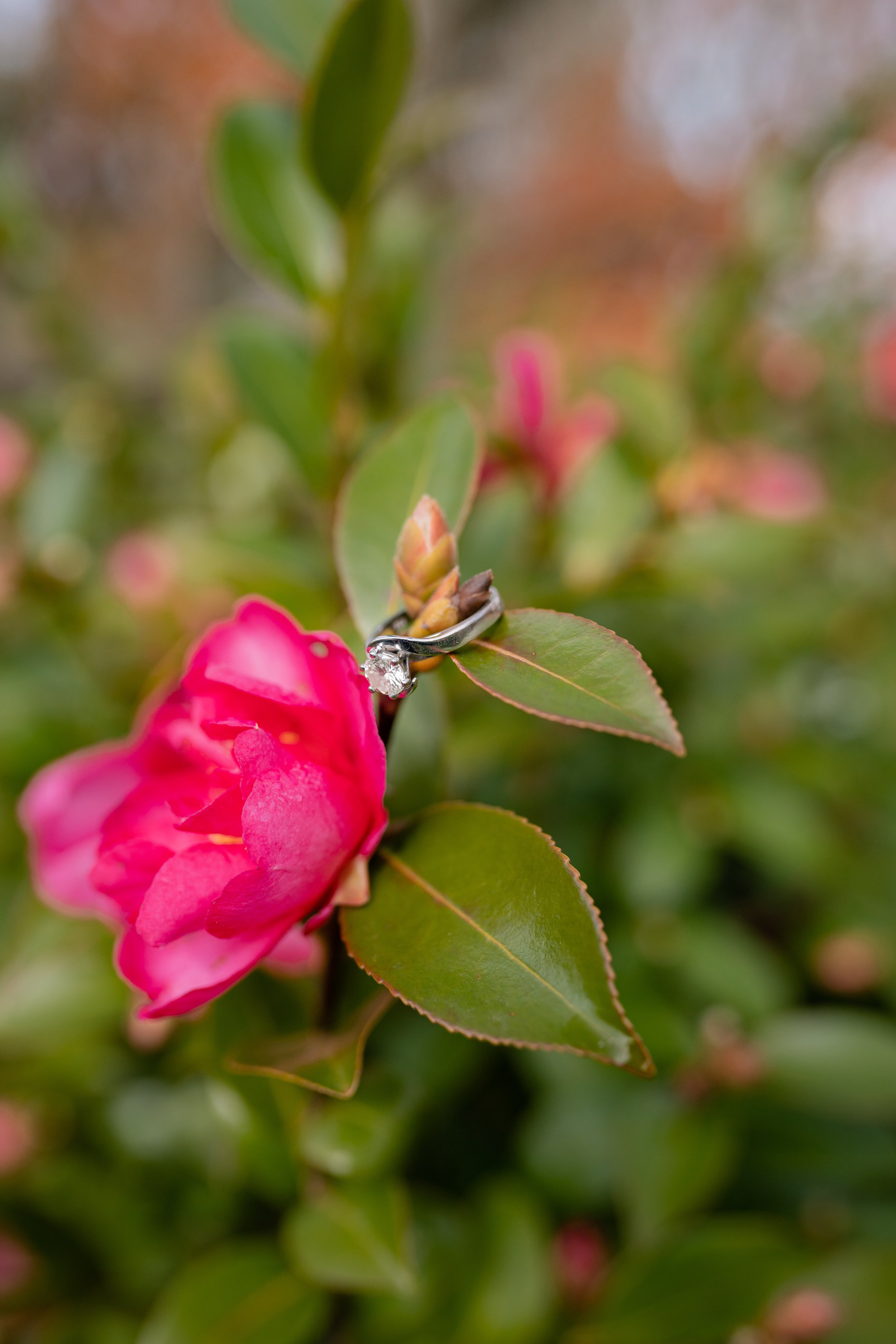 Cassie-Thomas-Engagement-131.jpg
