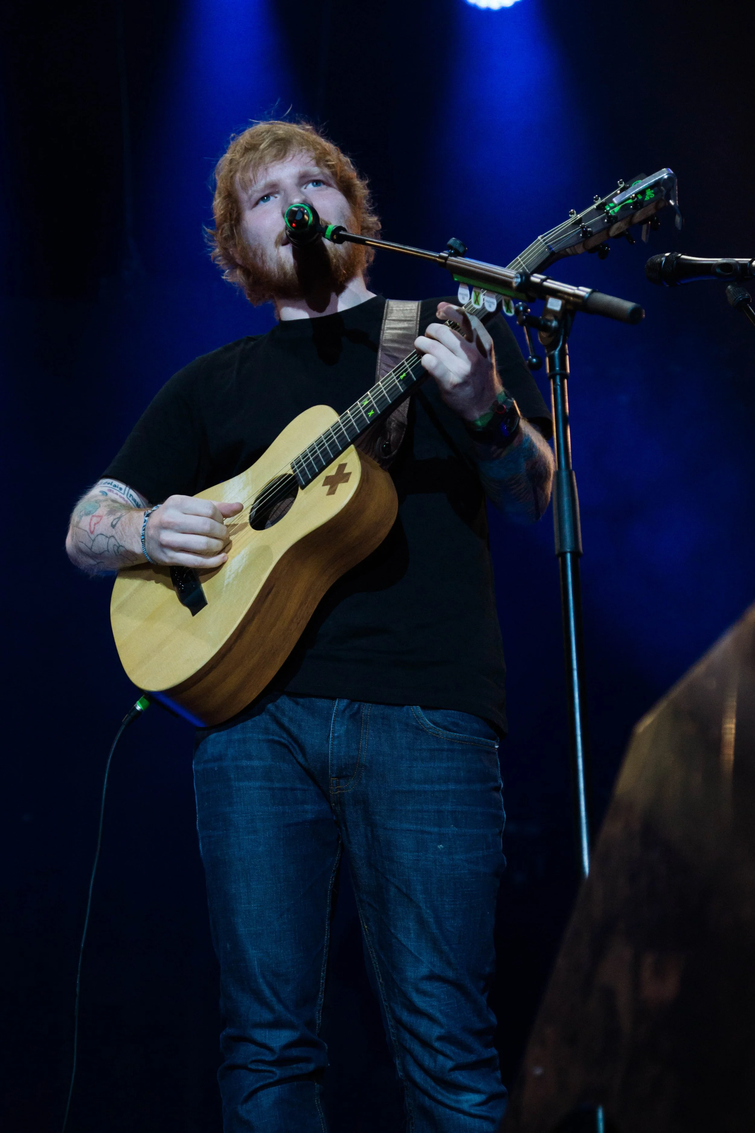DSC08504.jpg