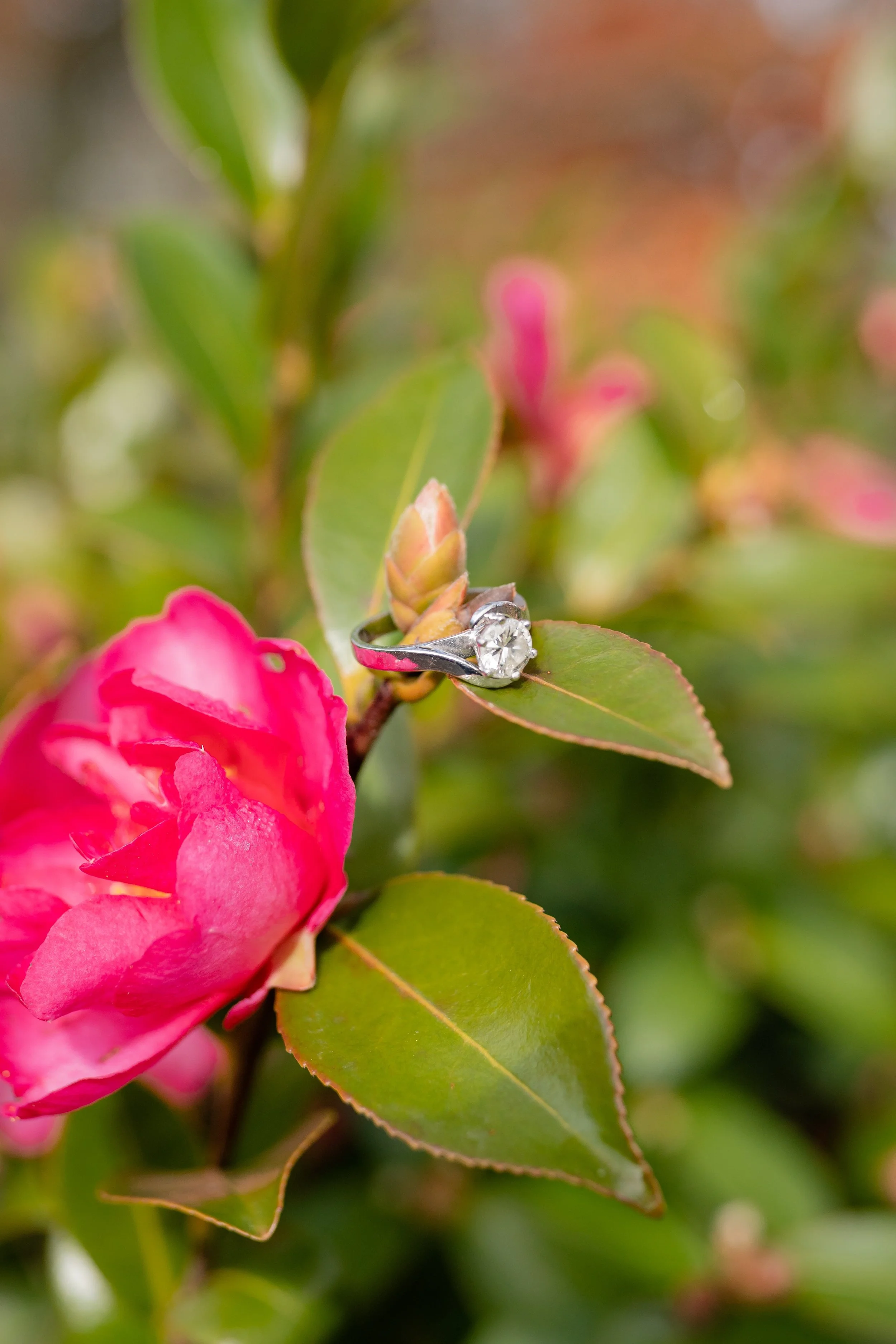 Cassie-Thomas-Engagement-133.jpg