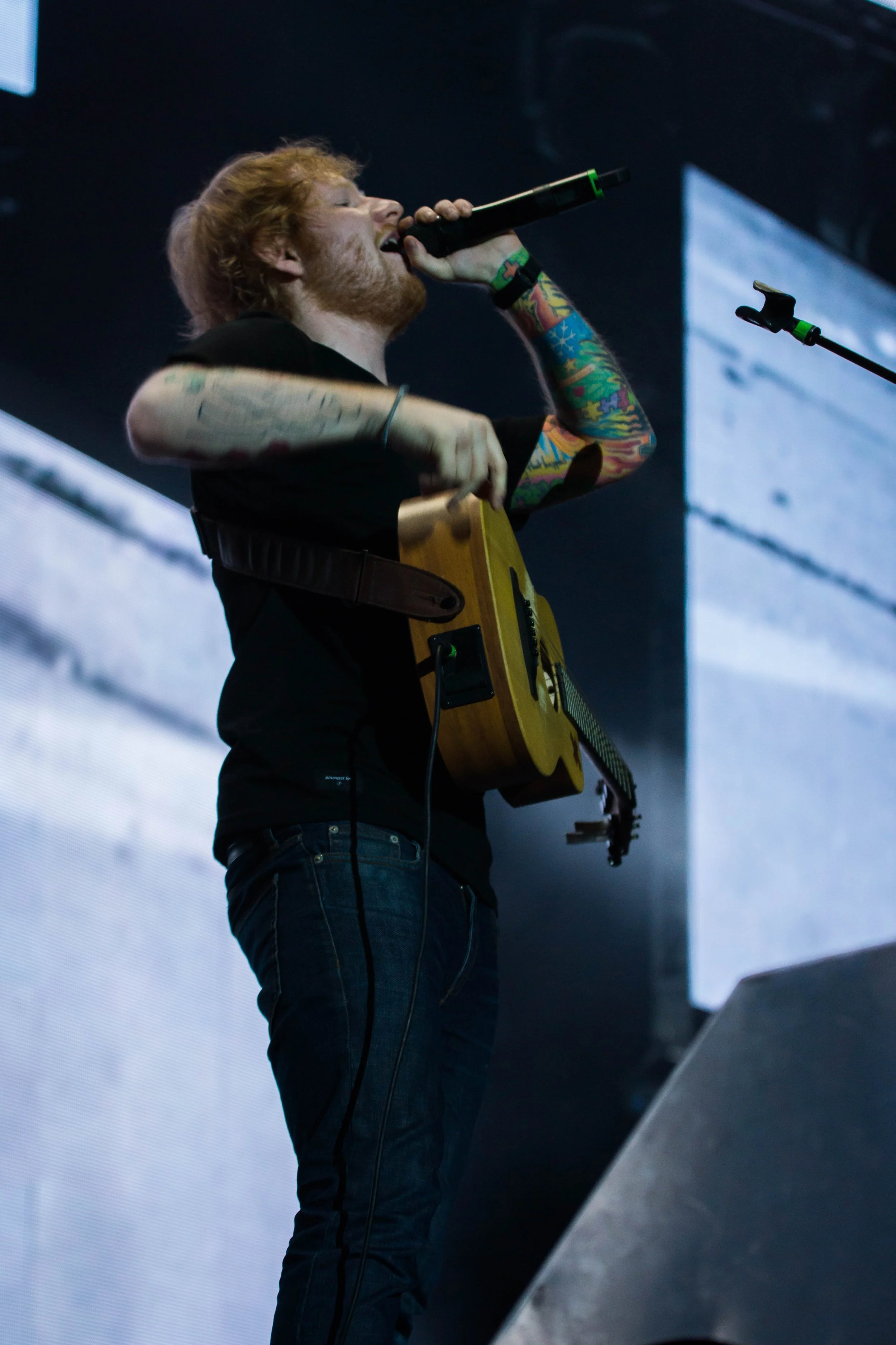 DSC08566.jpg