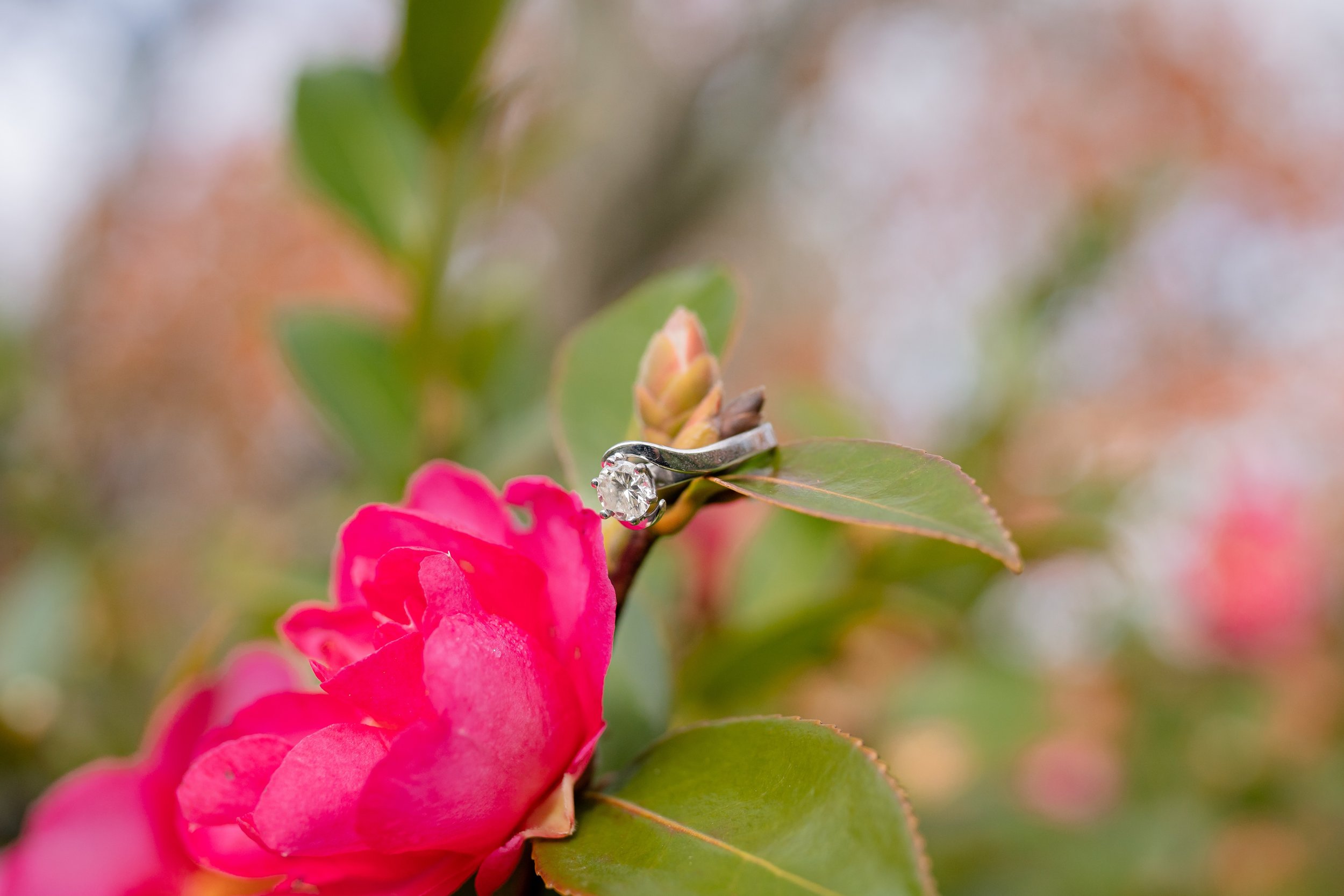 Cassie-Thomas-Engagement-130.jpg