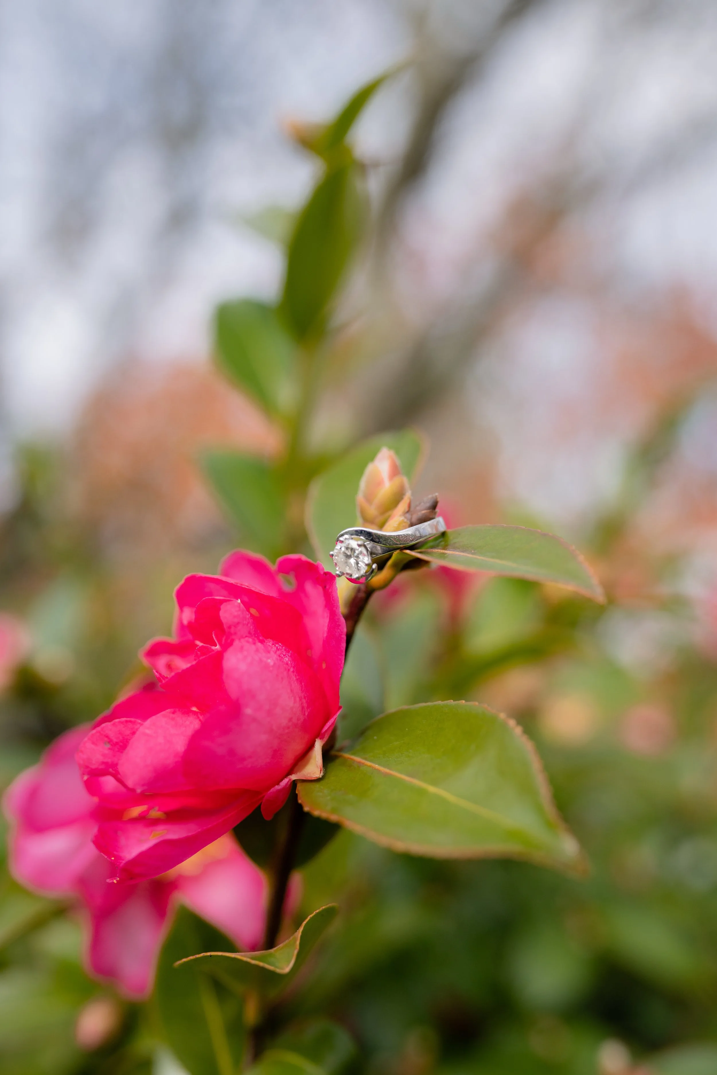 Cassie-Thomas-Engagement-129.jpg