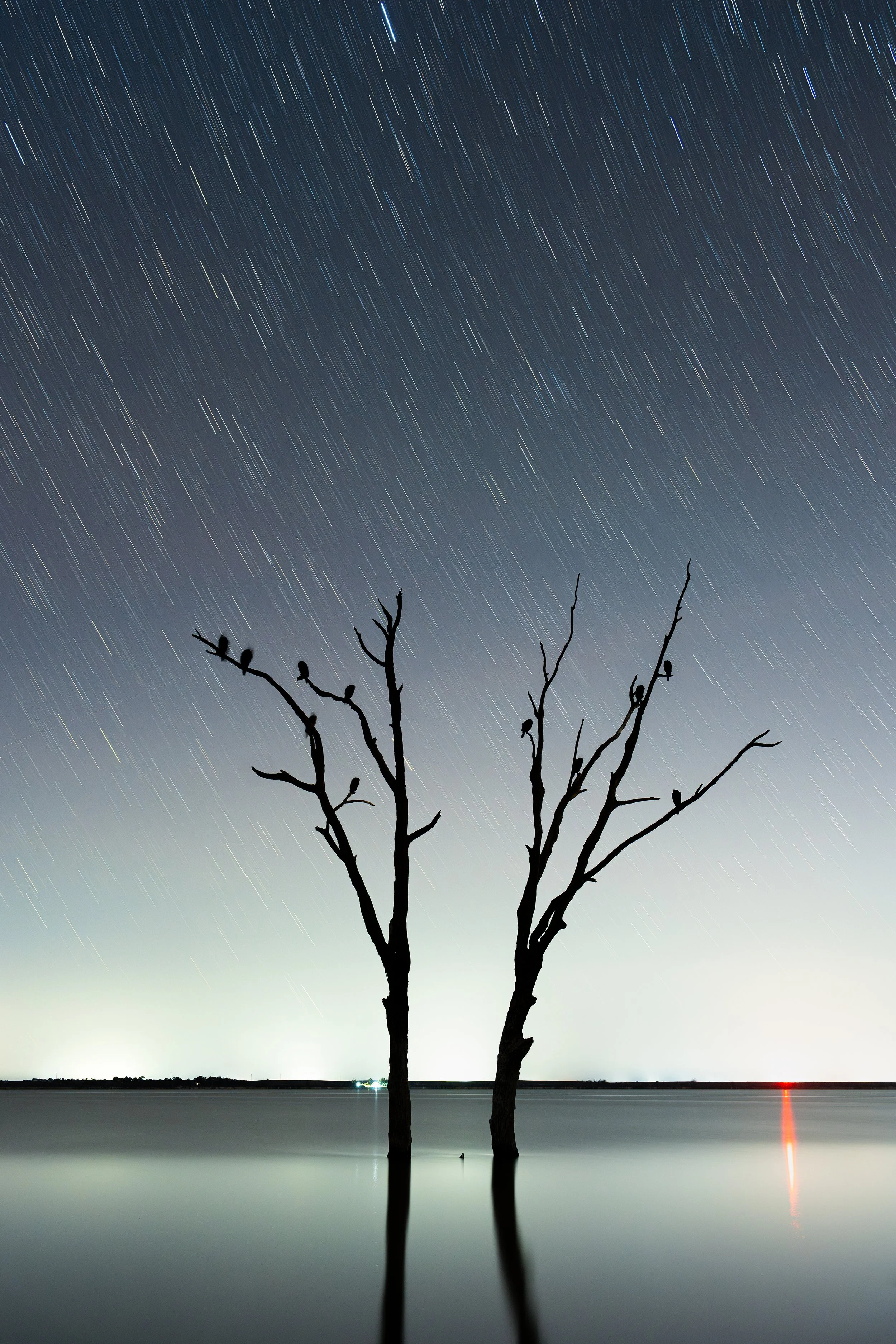 Lake Bonney, South Australia